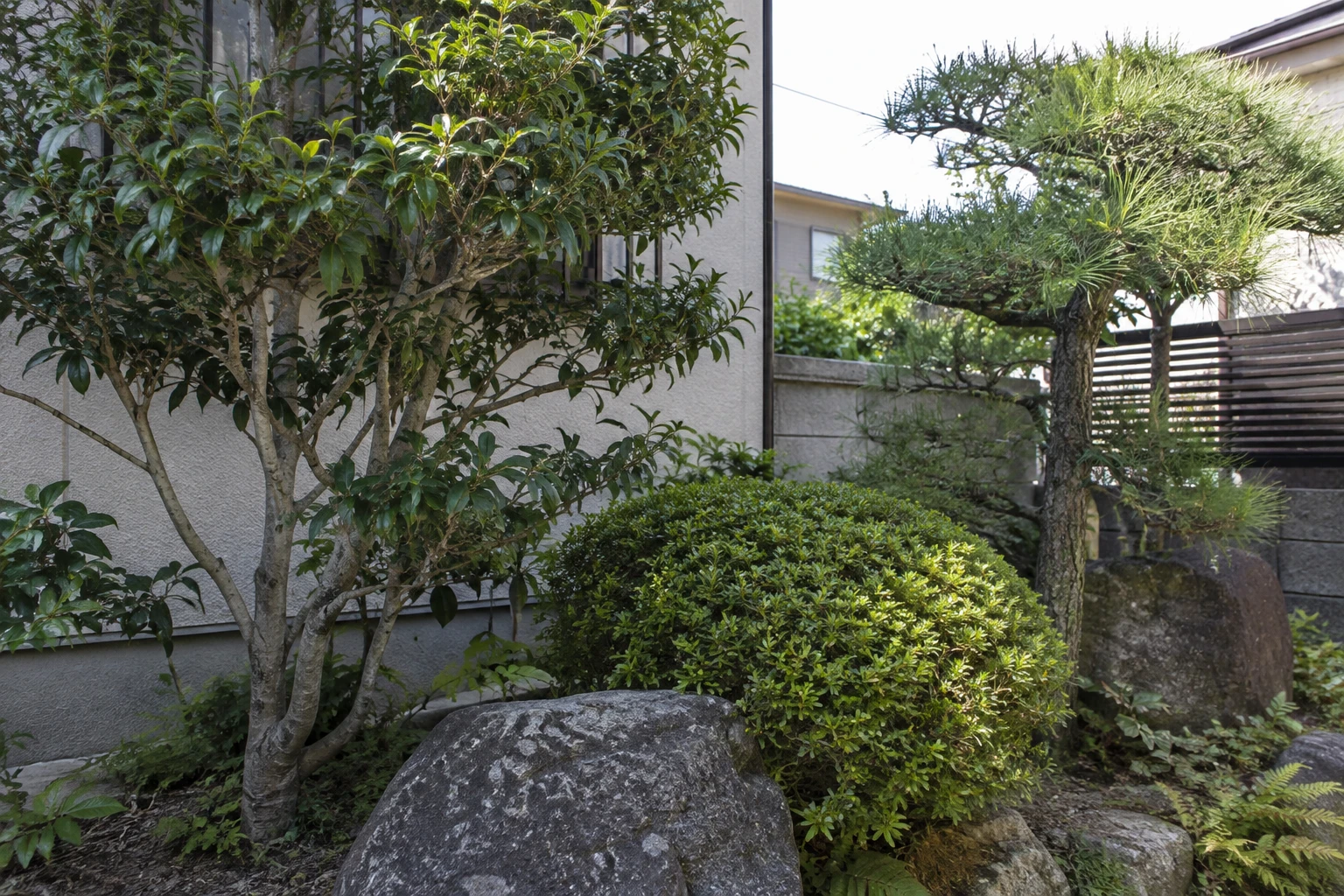 手入れする範囲と残したいものを分けて伝えるに関連する庭の細部