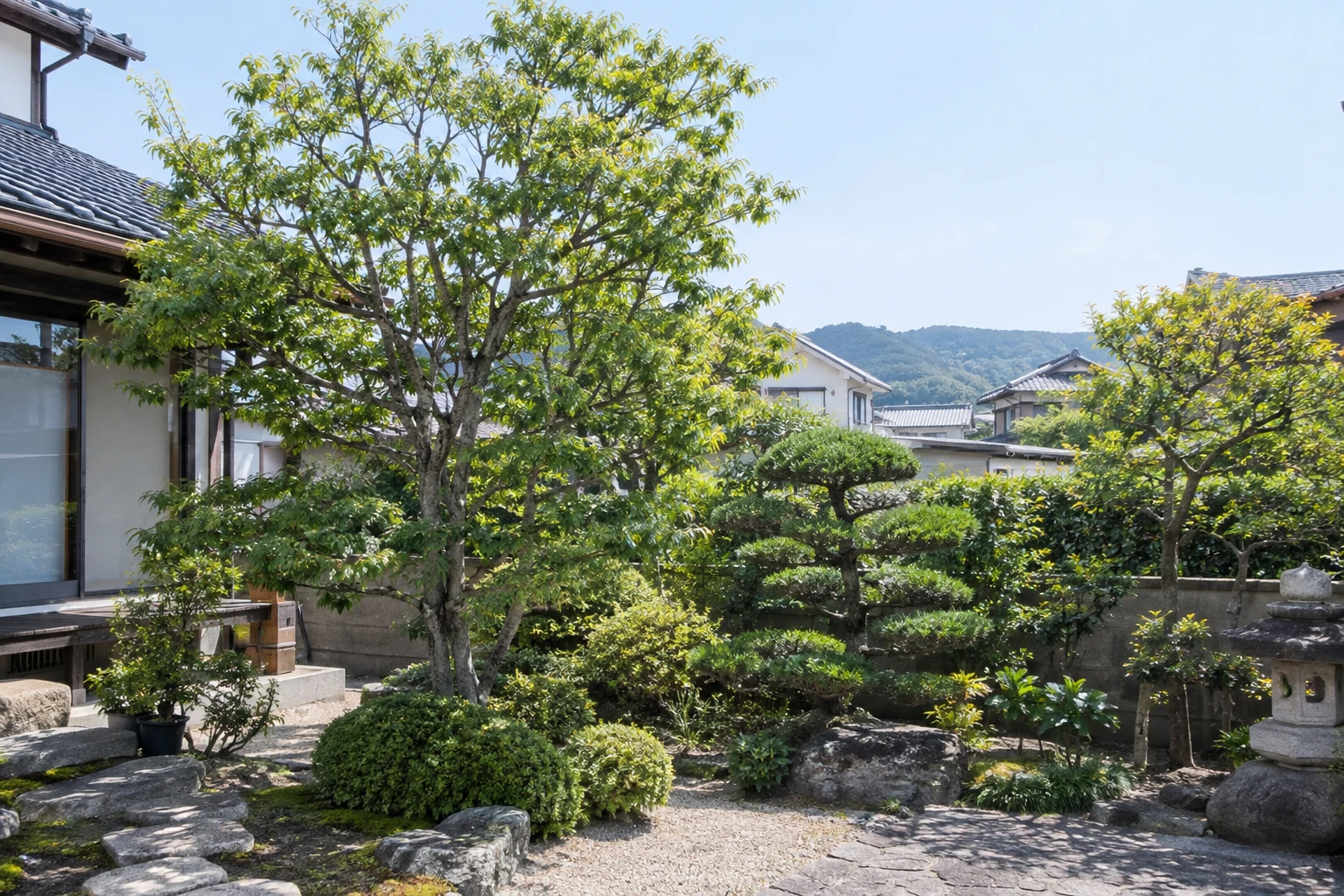 倉敷市で庭木の剪定を依頼する際の進め方に関連する庭の風景