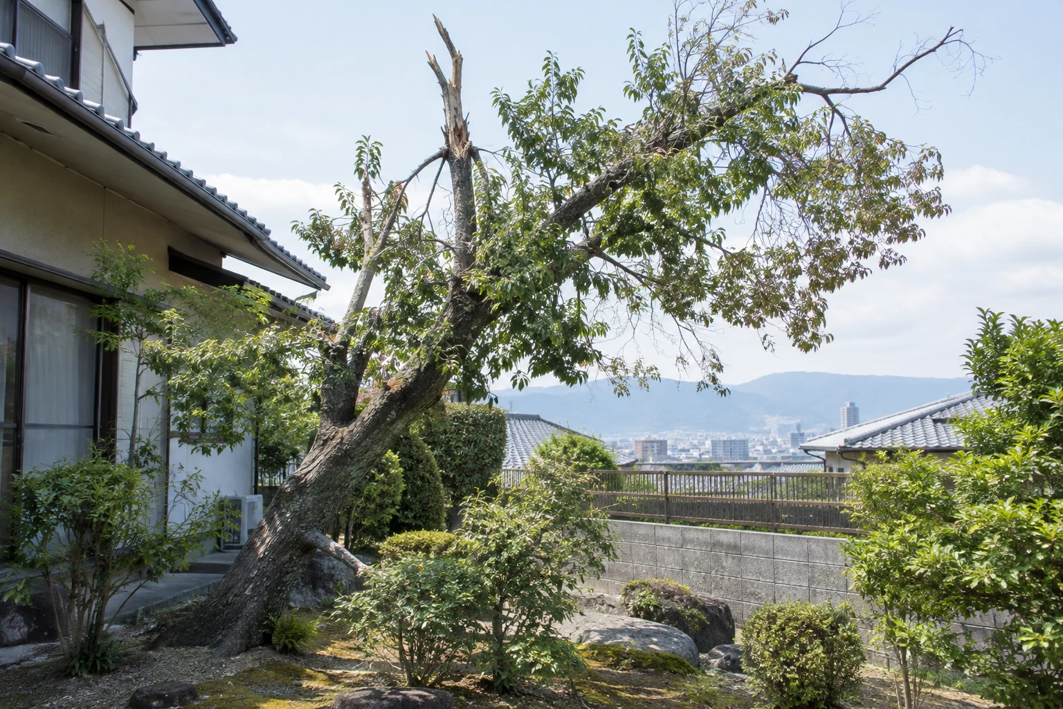 広島市で倒れそうな木を見つけたらに関連する庭の風景