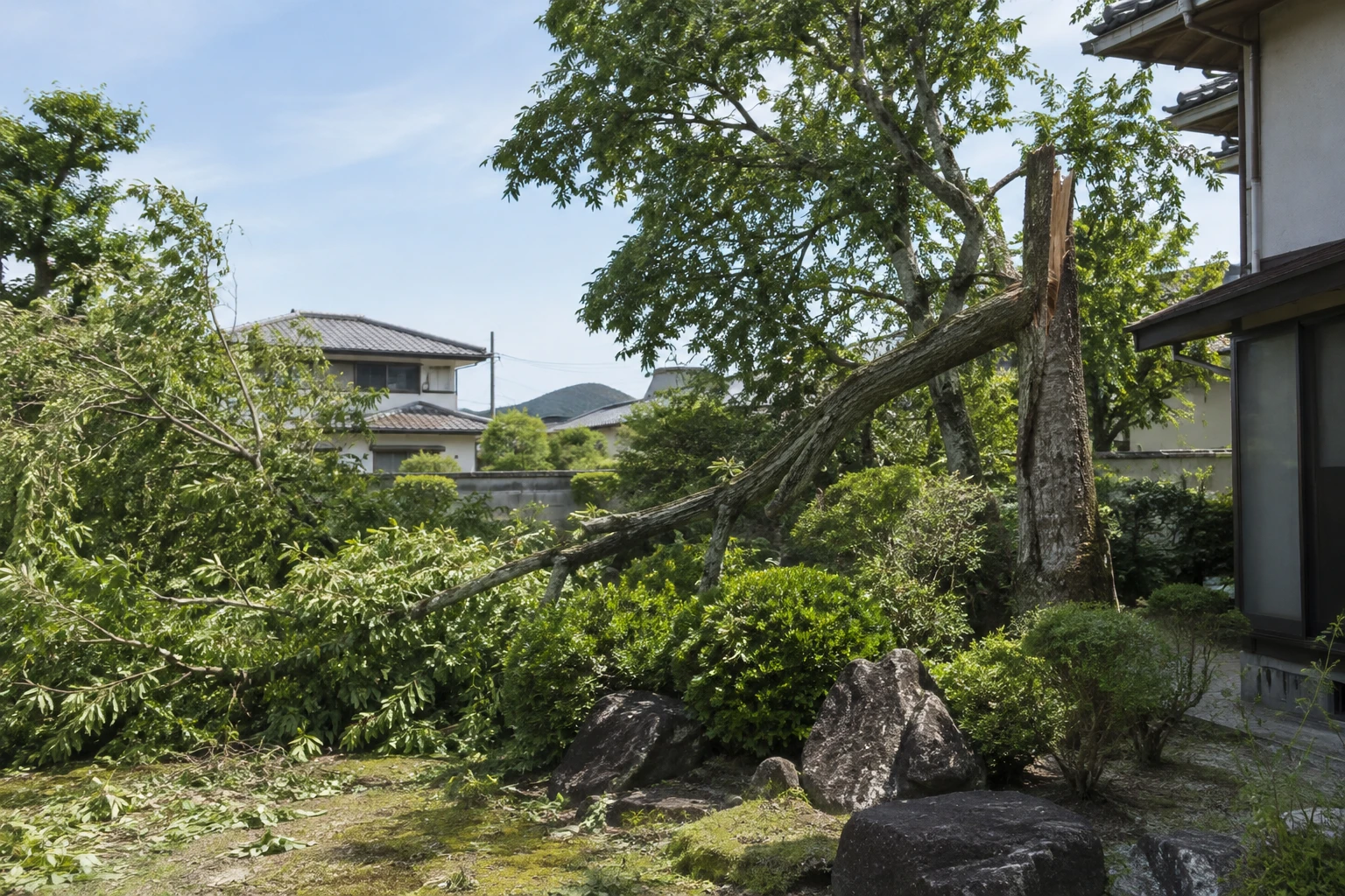 米子市で倒れそうな木を見つけたらに関連する庭の風景
