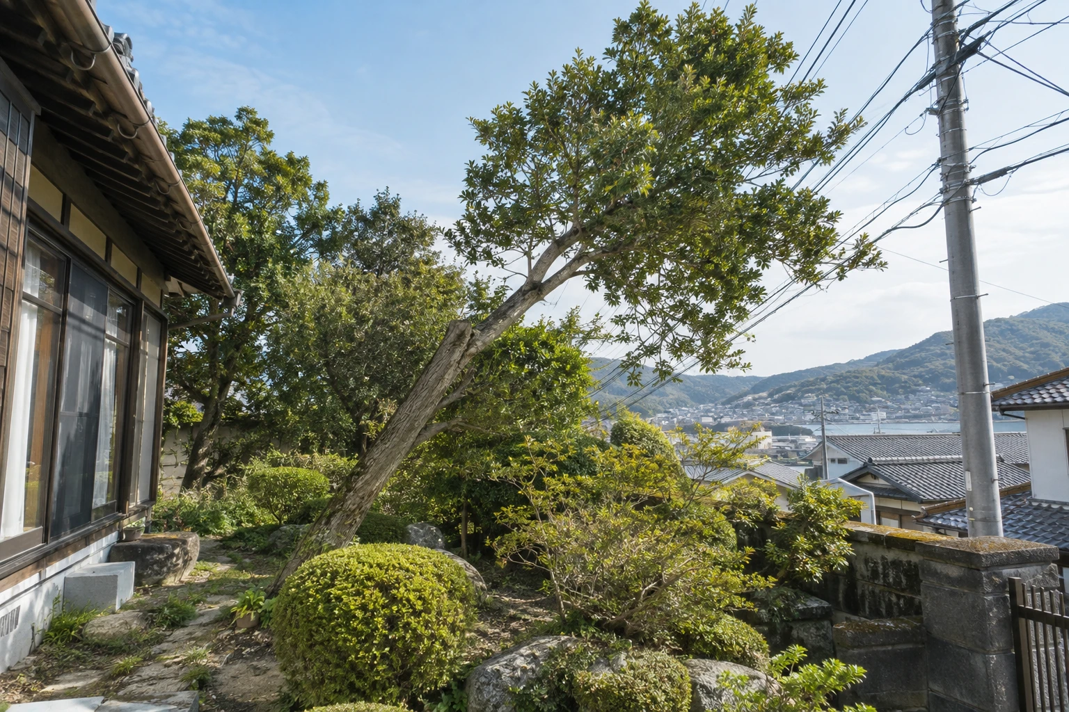 下関市で傾いた木はすぐ伐採に関連する庭の風景