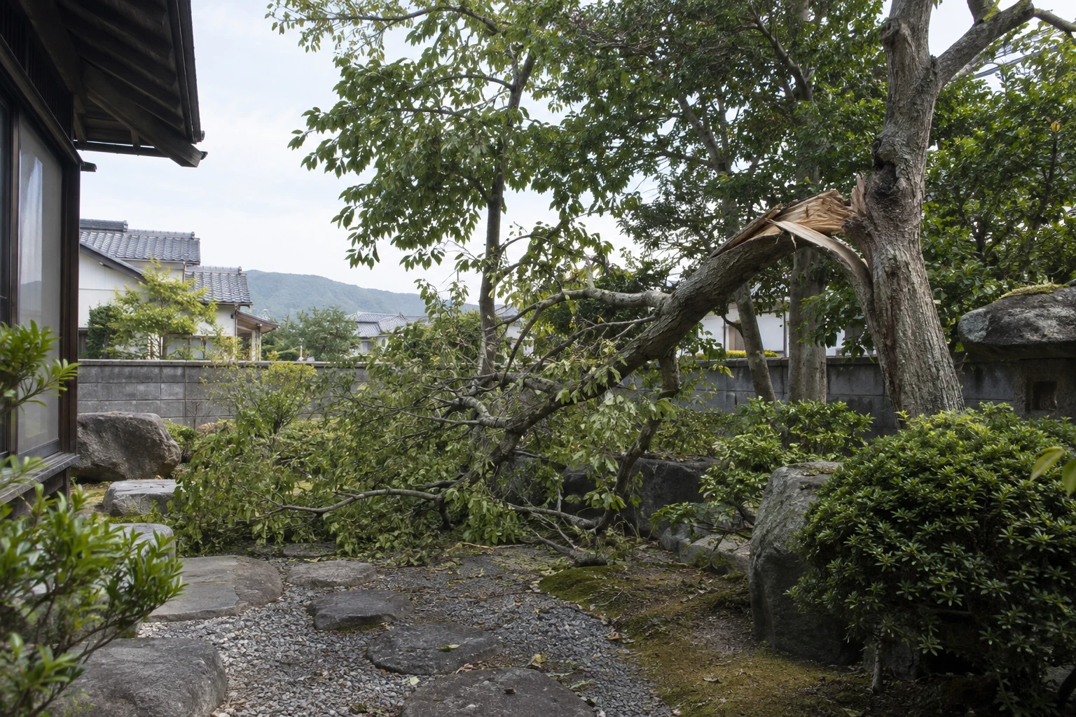 出雲市で危険木を見つけたらに関連する庭の風景