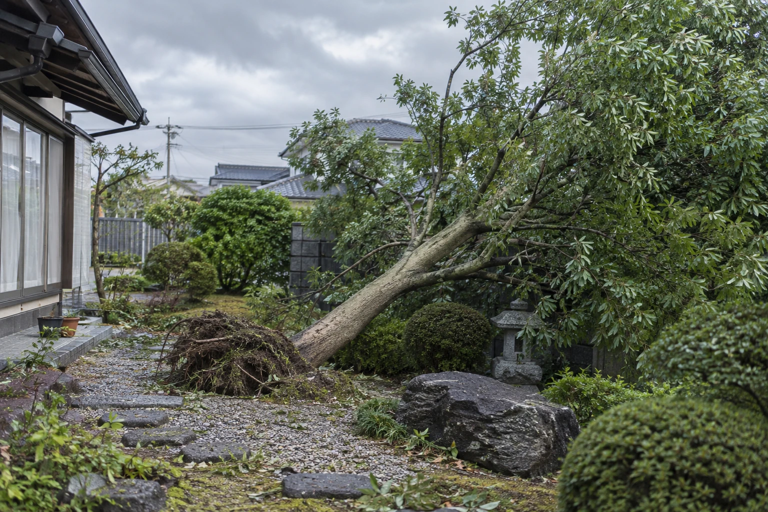 下関市で台風により庭木が倒れそうなときはに関連する庭の風景