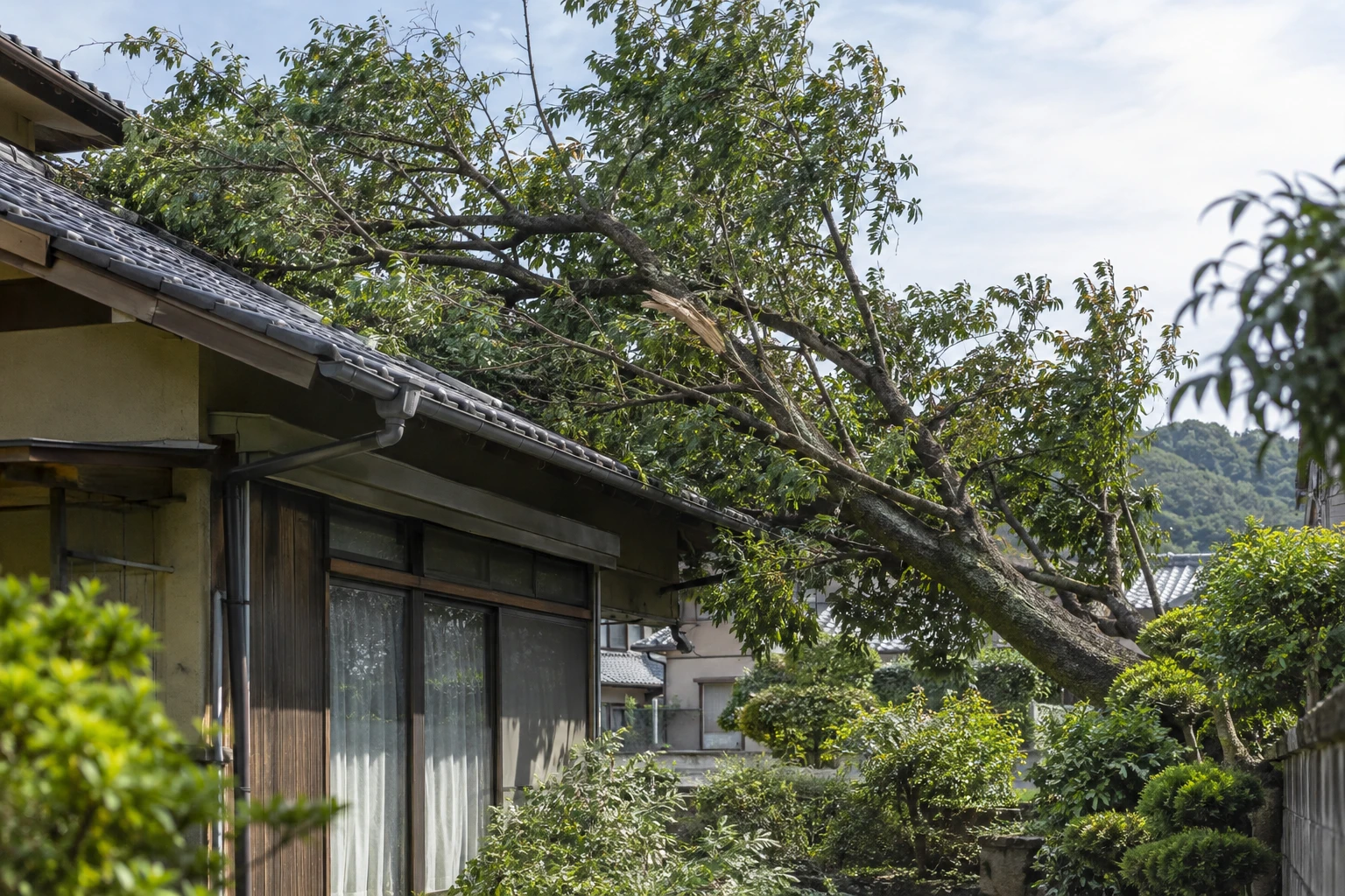 倉敷市で家にかかる木を見つけたらに関連する庭の風景