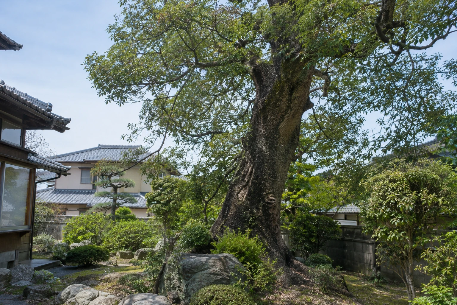 下関市で巨木をすぐ伐採したいときにに関連する庭の風景
