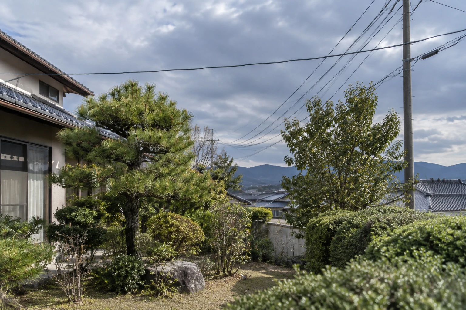 米子市で強風前に庭木の剪定を予約するにはに関連する庭の風景