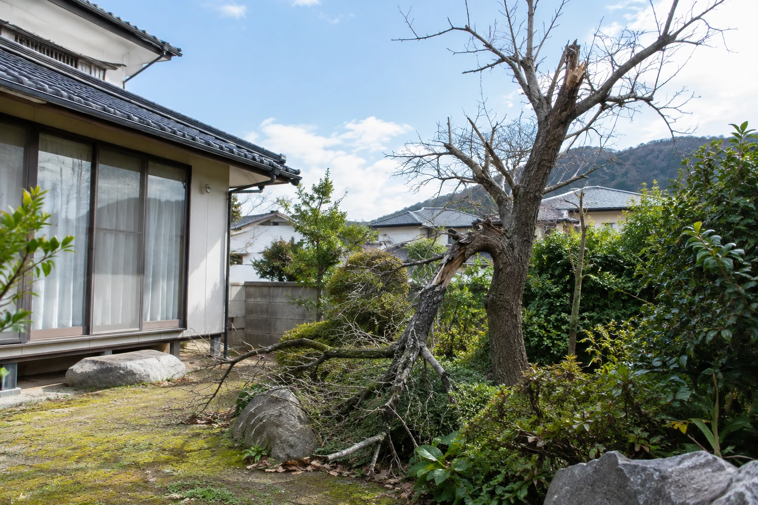 下関市で枯死木をすぐ伐採したいときはに関連する庭の風景