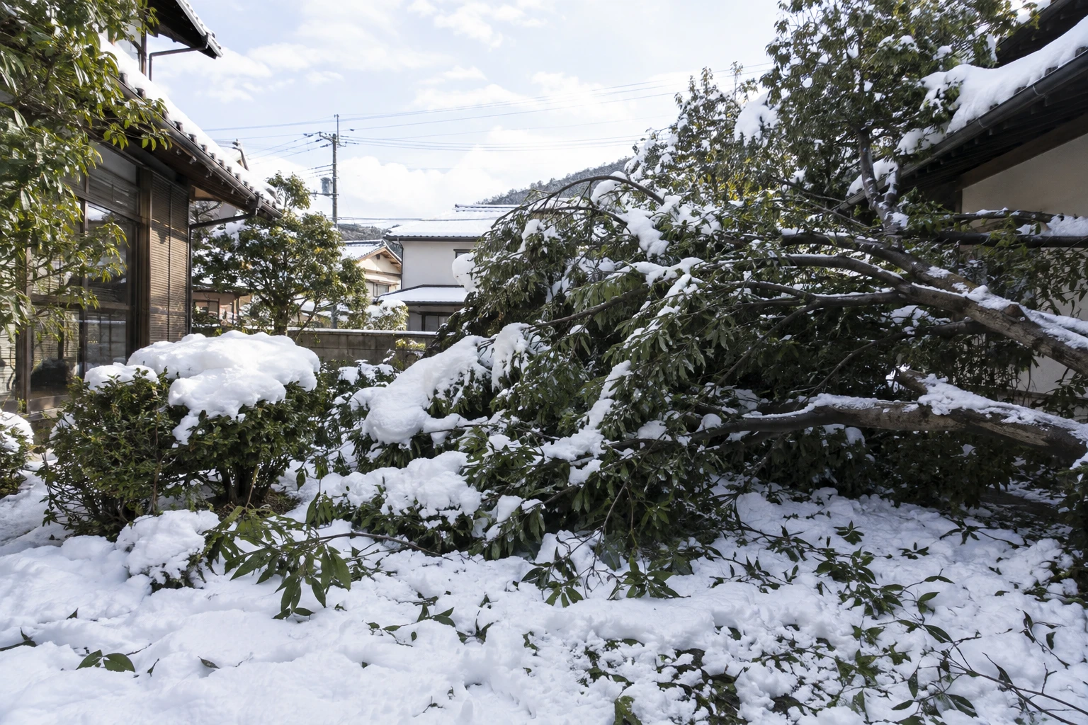 倉吉市で積雪による倒木を見つけたらに関連する庭の風景