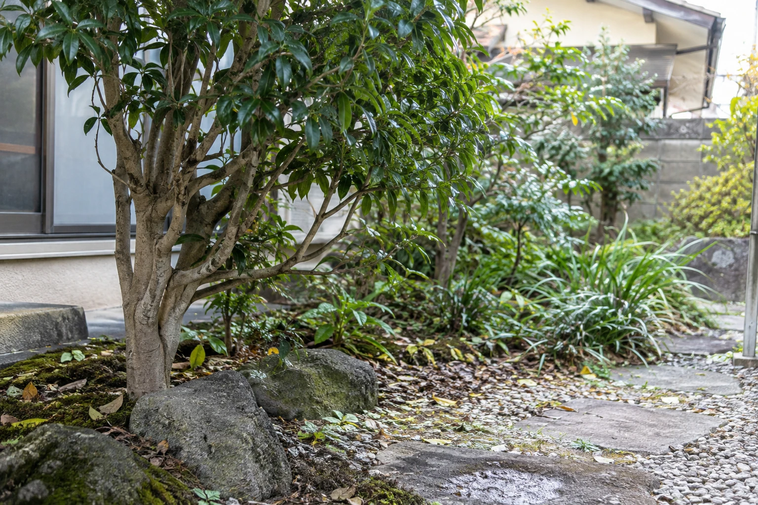 残す・小さくする・取り除くを場所ごとに考えるに関連する庭の細部
