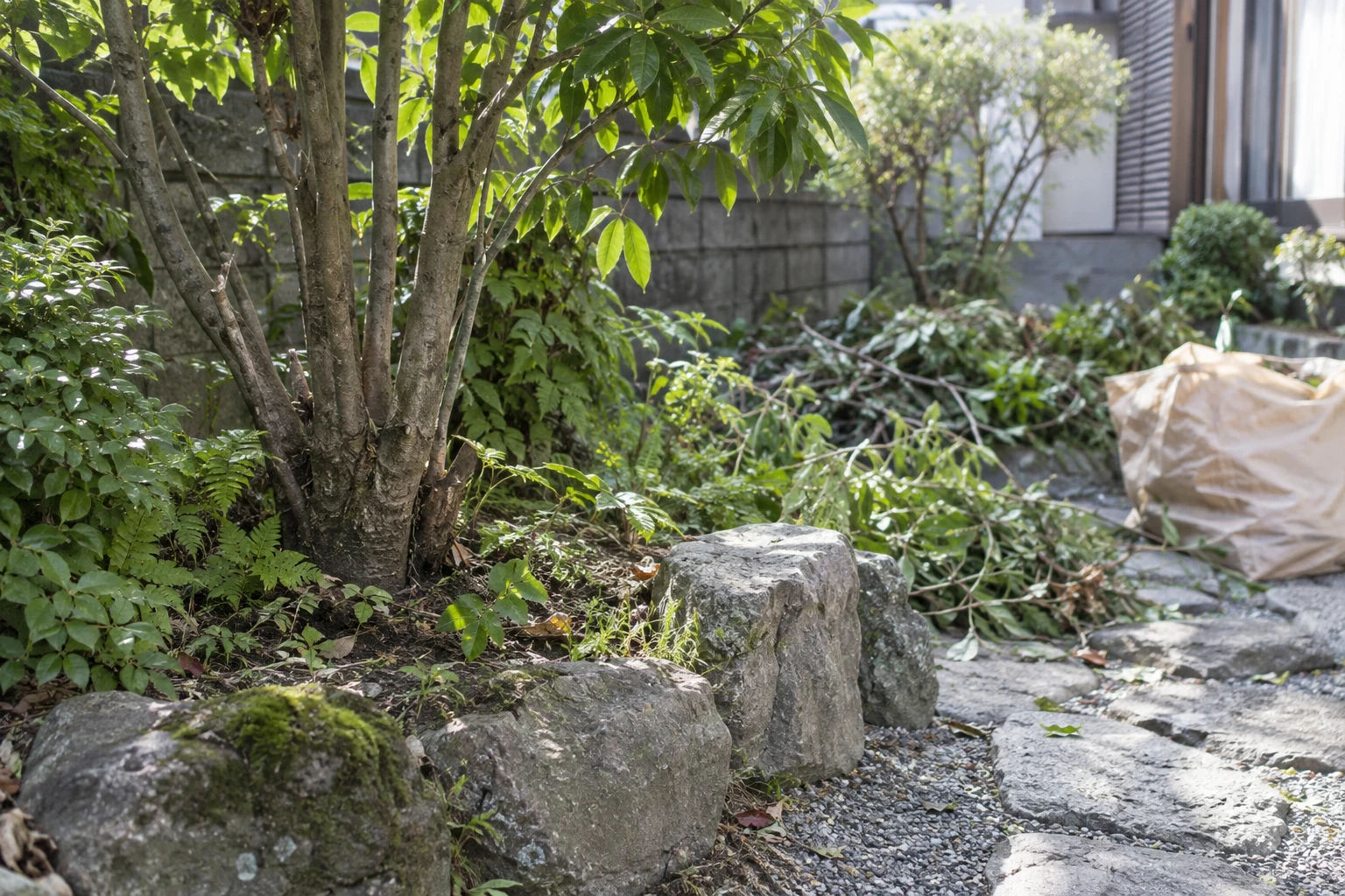 区画ごとに残す・小さくする・取り除くを考えるに関連する庭の細部