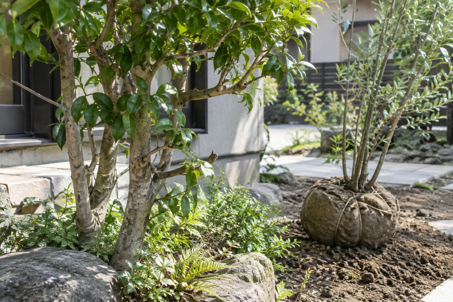 残す木と新しく植える木の希望を分けて伝えるに関連する庭の細部