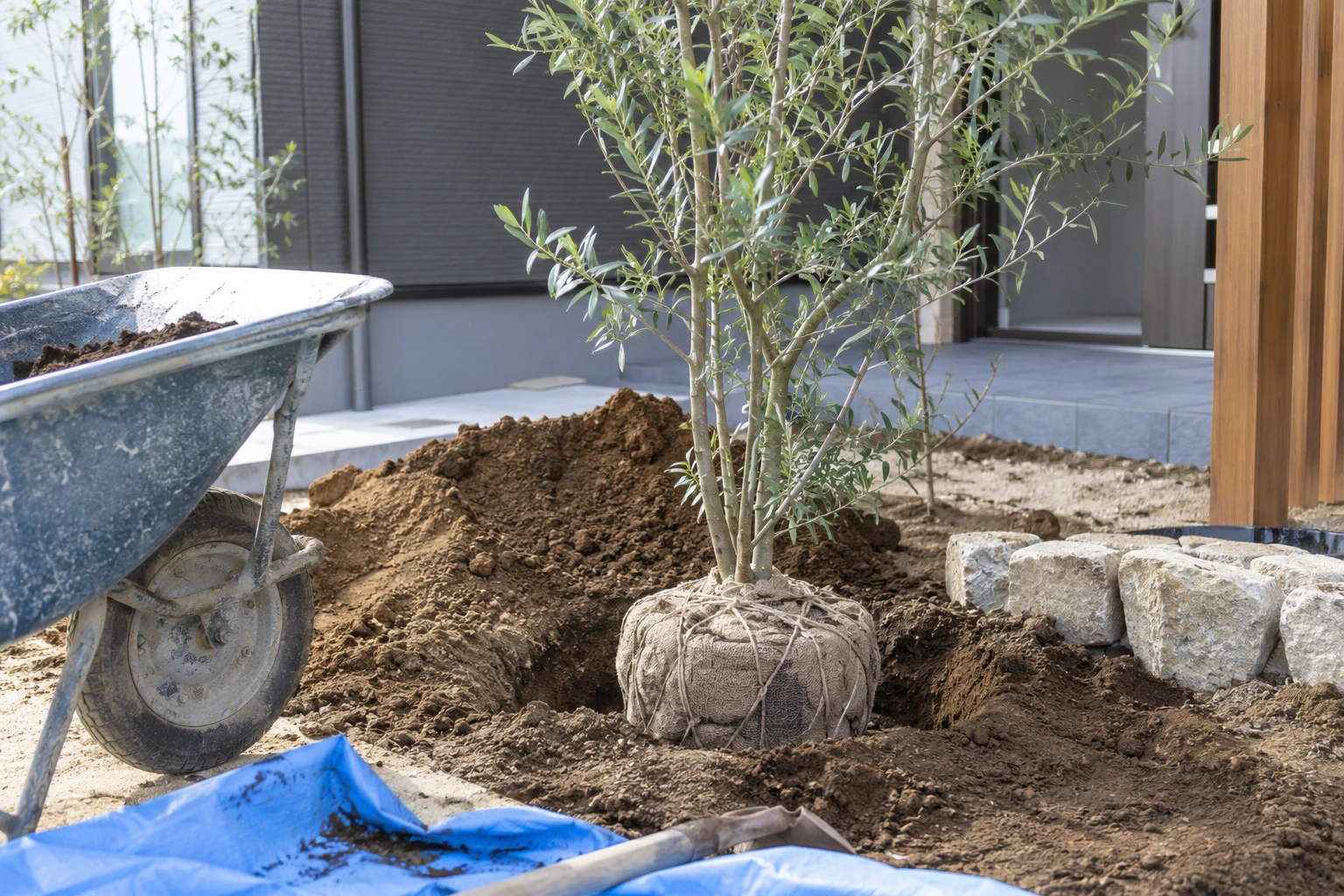 植栽時期とリフォーム工程を施工業者間で合わせるに関連する庭の細部