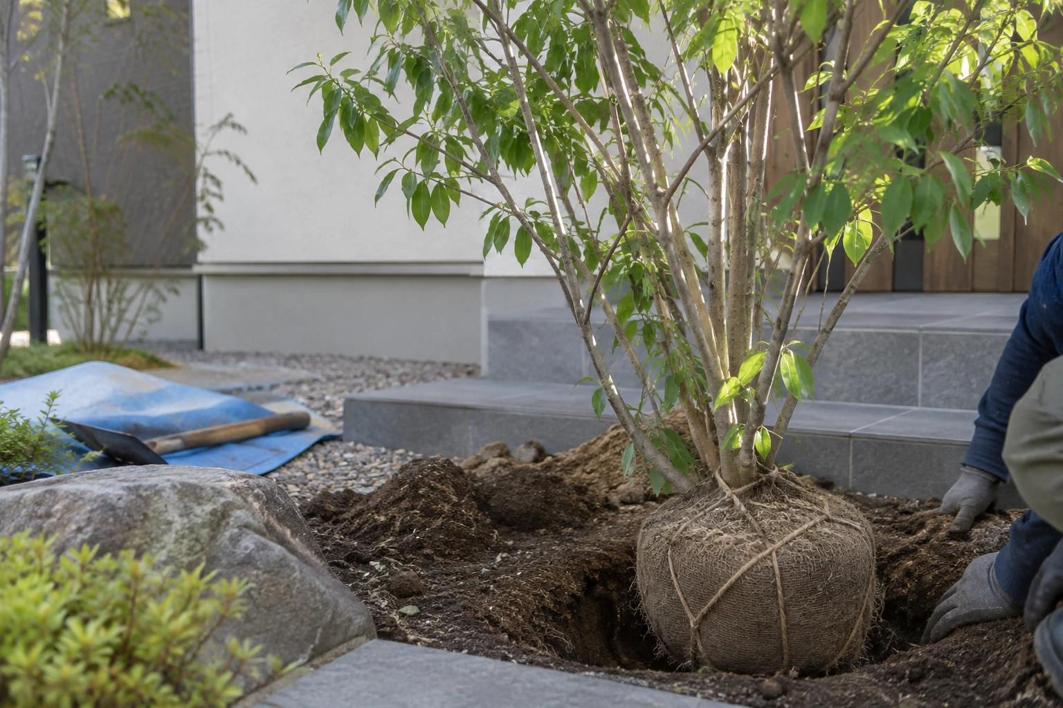入居日と植えたい場所を先に共有すると、工程を組みやすいに関連する庭の細部
