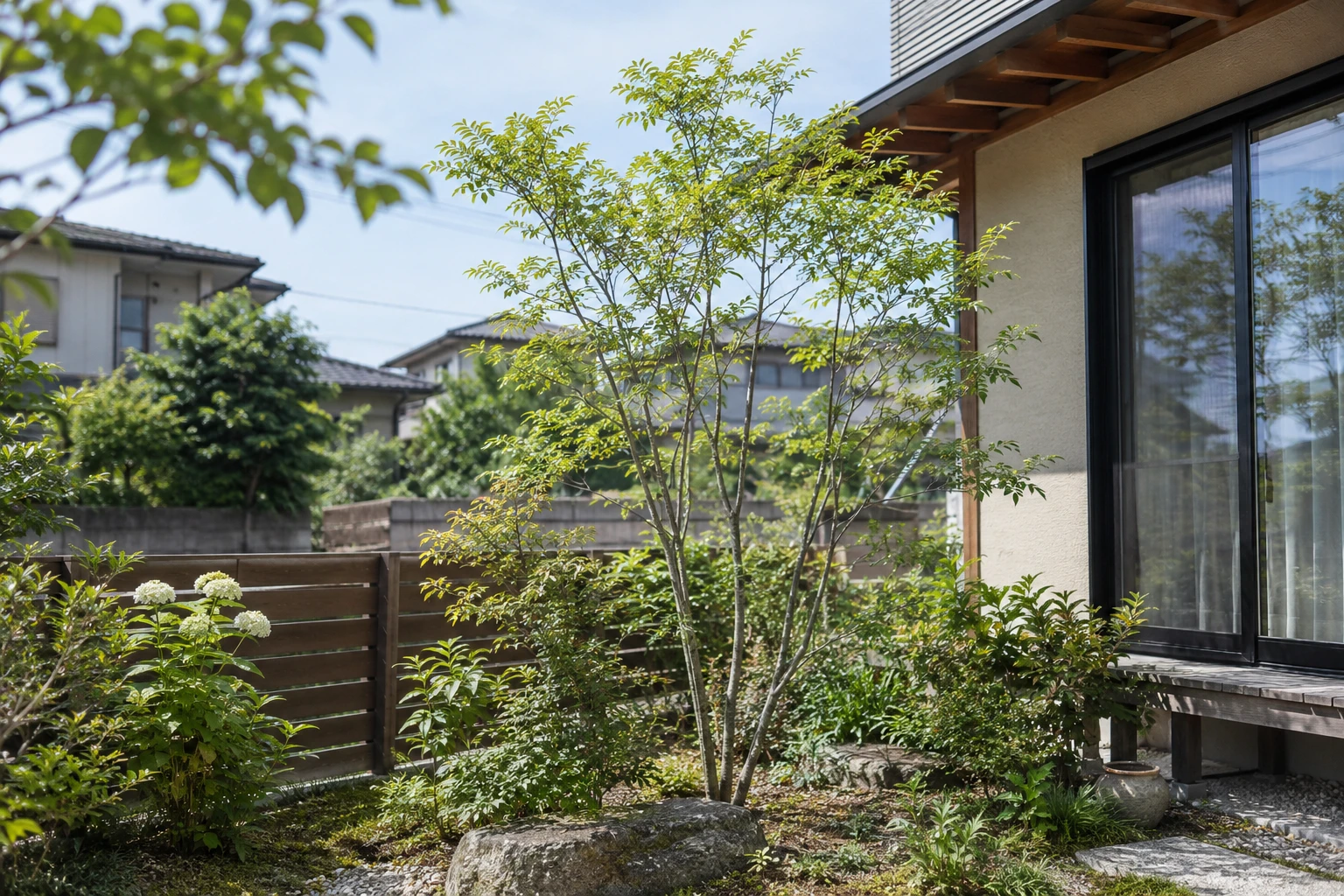 岡山でアオダモの剪定を頼む前にに関連する庭の風景