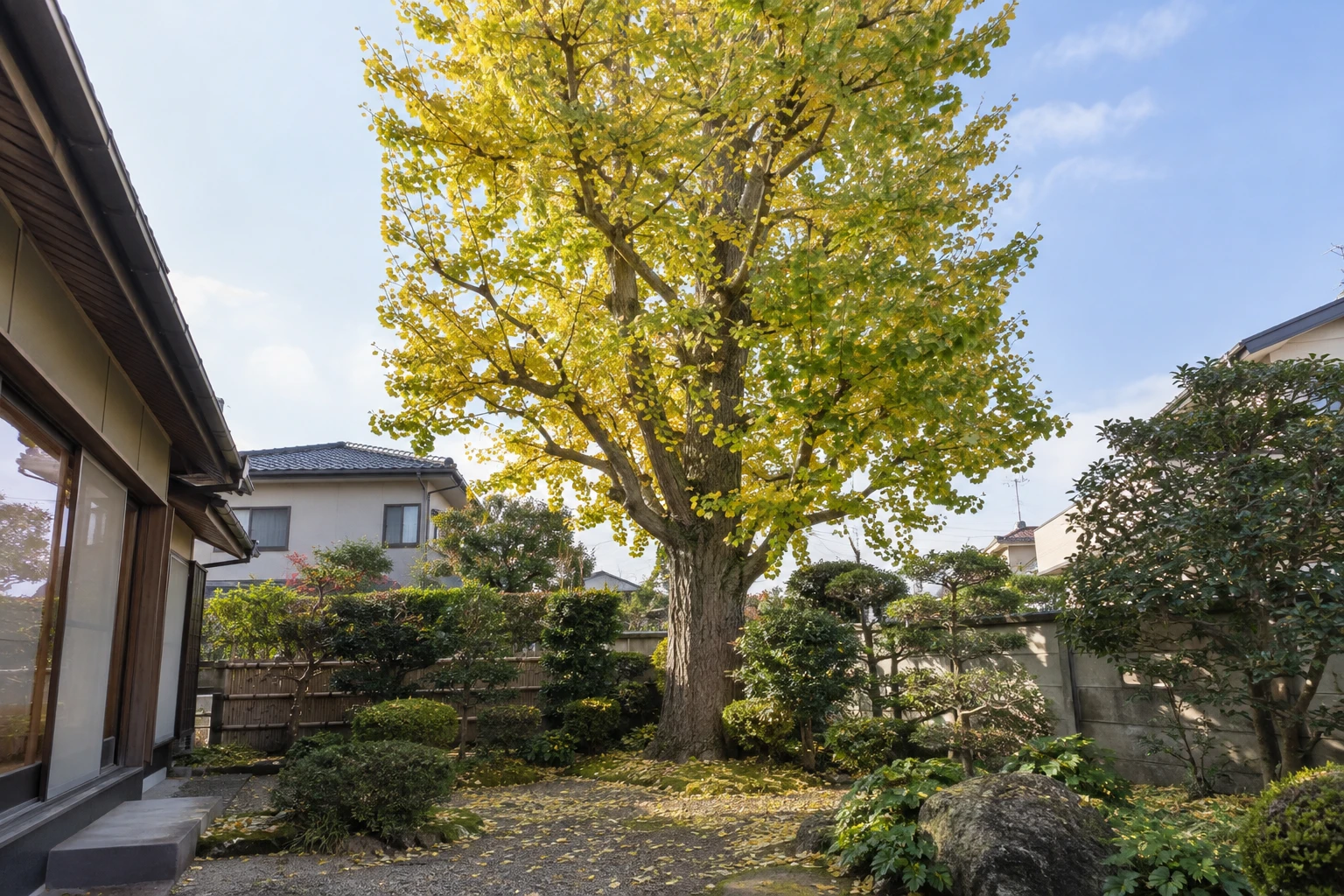 岡山でイチョウを伐採する費用はに関連する庭の風景