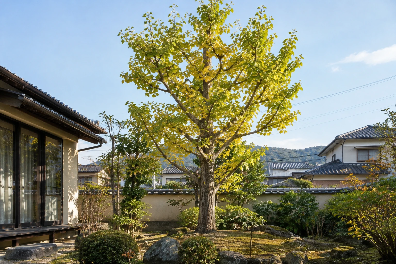 広島でイチョウの剪定を頼む前にに関連する庭の風景