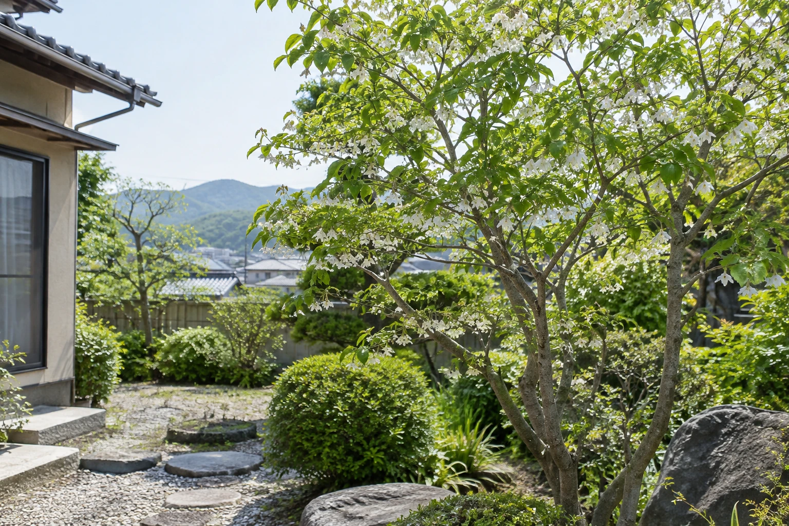 岡山でエゴノキの剪定費用を考えるにはに関連する庭の風景