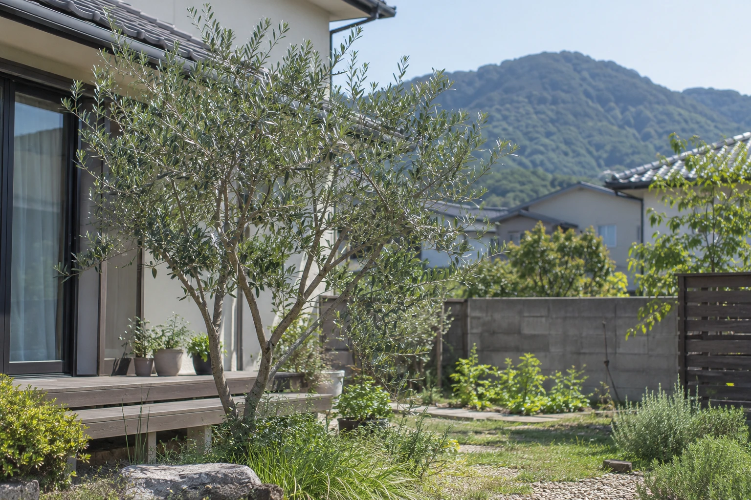 鳥取でオリーブの剪定を業者に頼むにはに関連する庭の風景