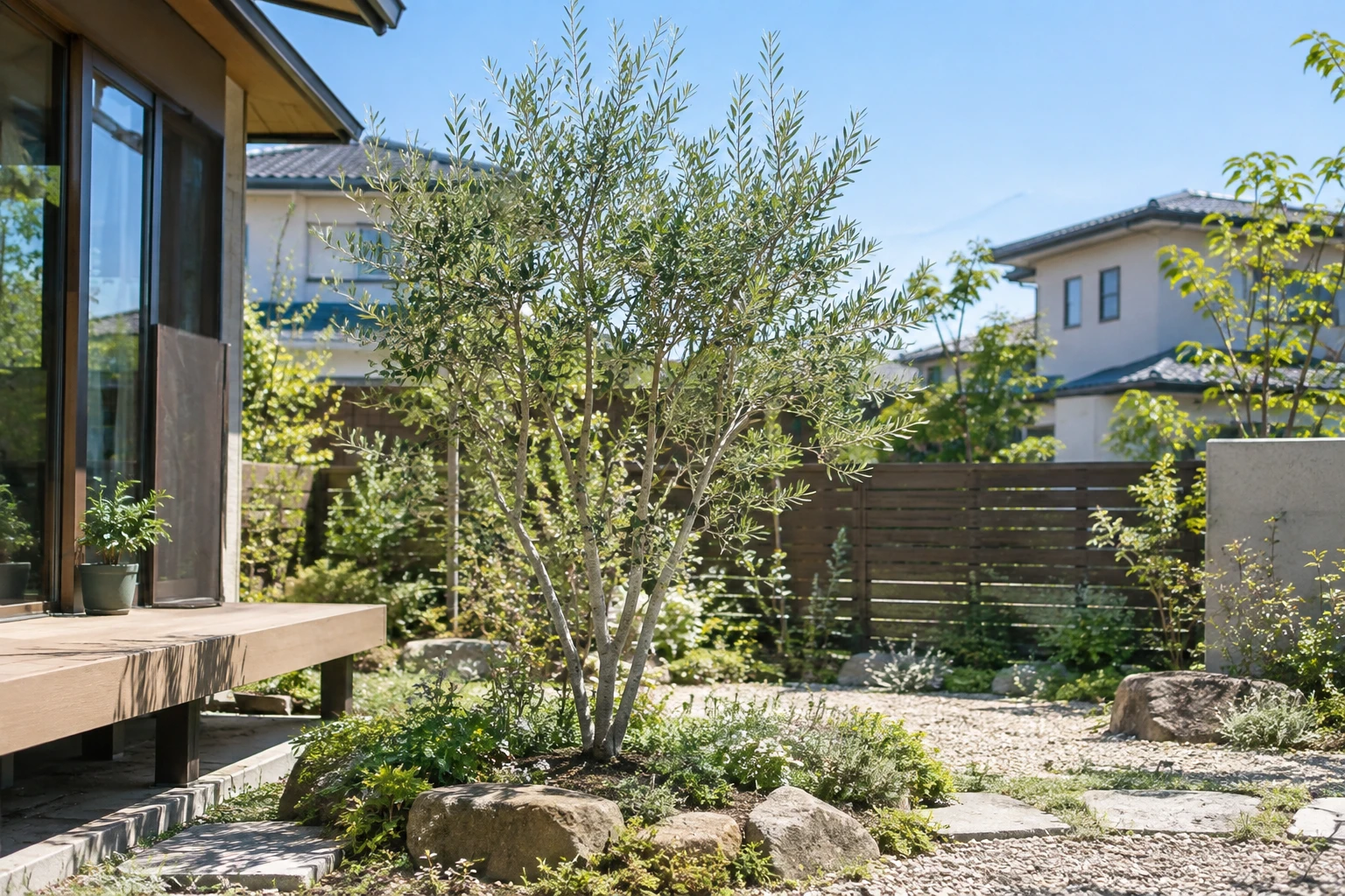岡山でオリーブを植える費用はに関連する庭の風景