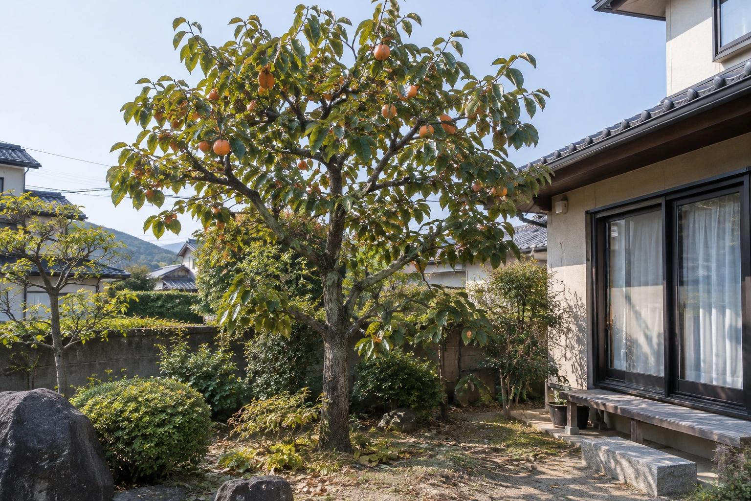 岡山でカキの伐採費用を考える方へに関連する庭の風景