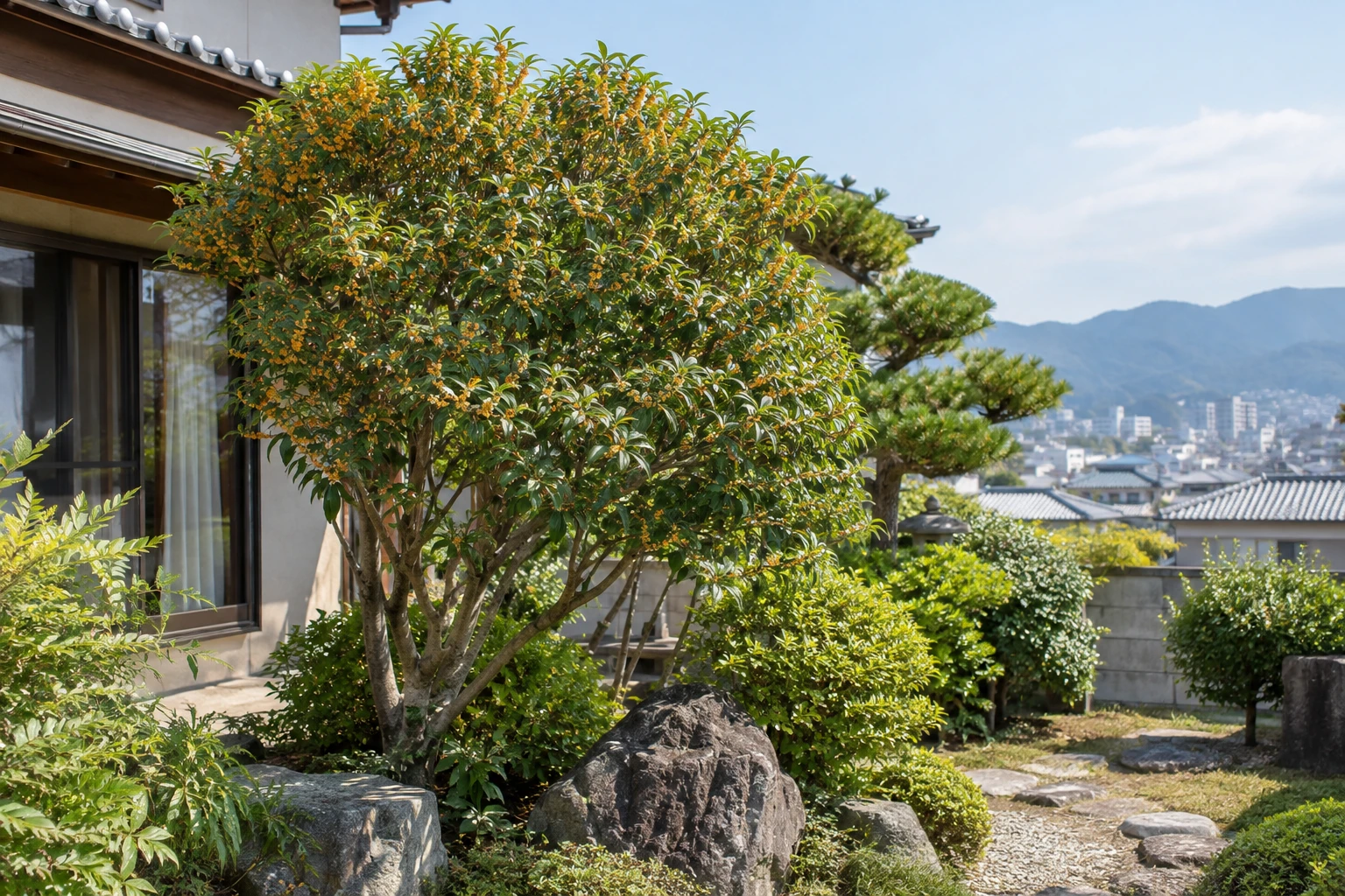 広島でキンモクセイの剪定を頼む前にに関連する庭の風景