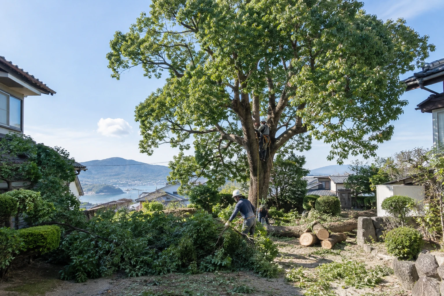 下関市のクスノキ伐採費用を左右する条件と枝・幹の処分料金例に関連する庭の風景