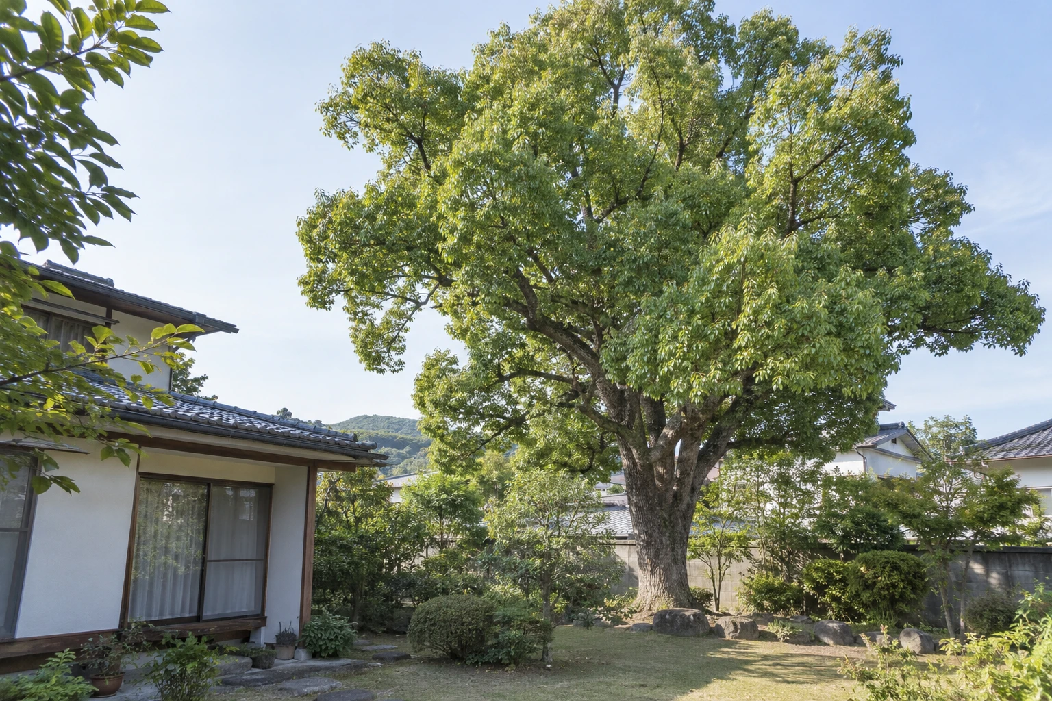 下関市でクスノキが大きくなりすぎたらに関連する庭の風景