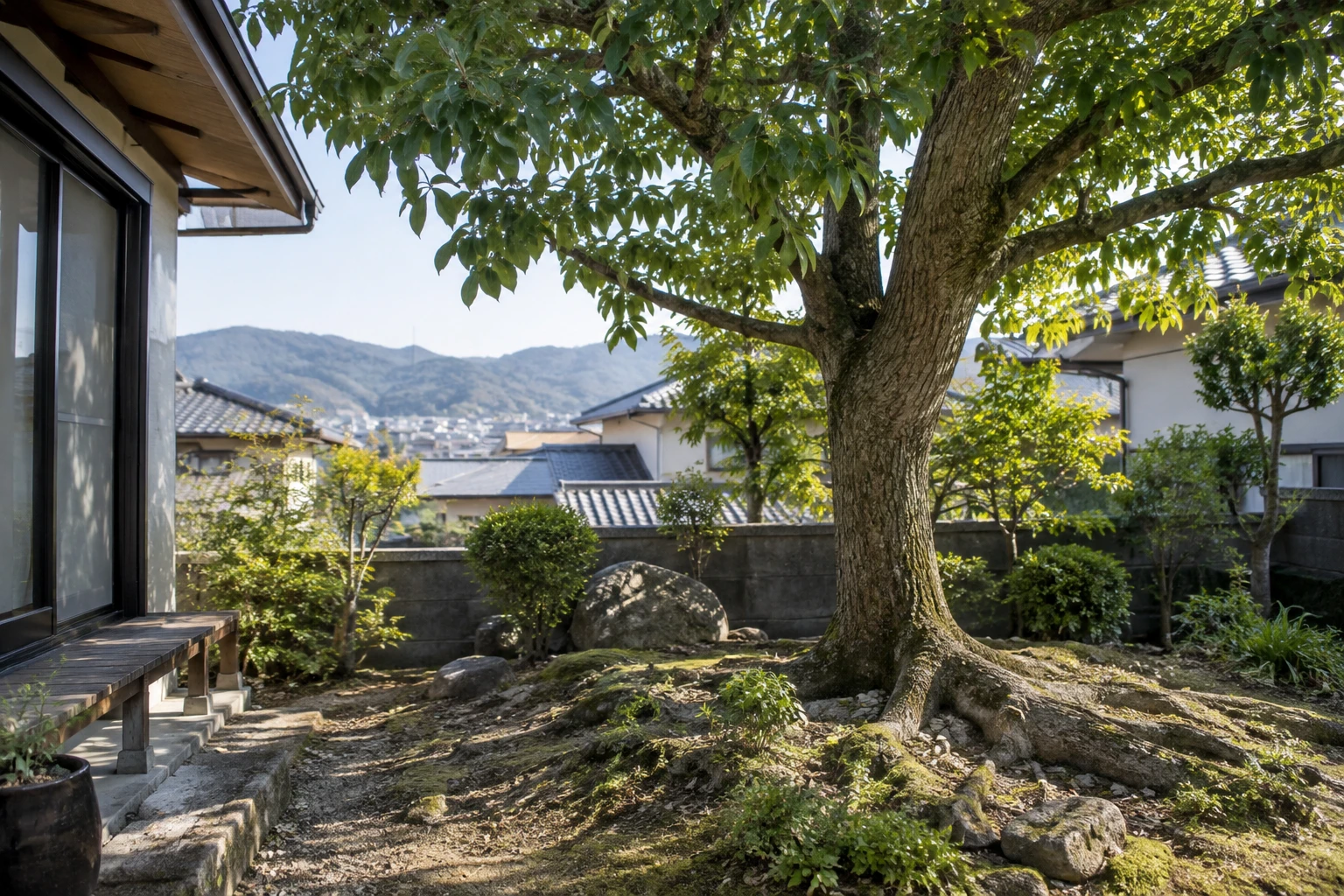 呉市でクスノキの根が張って困ったらに関連する庭の風景