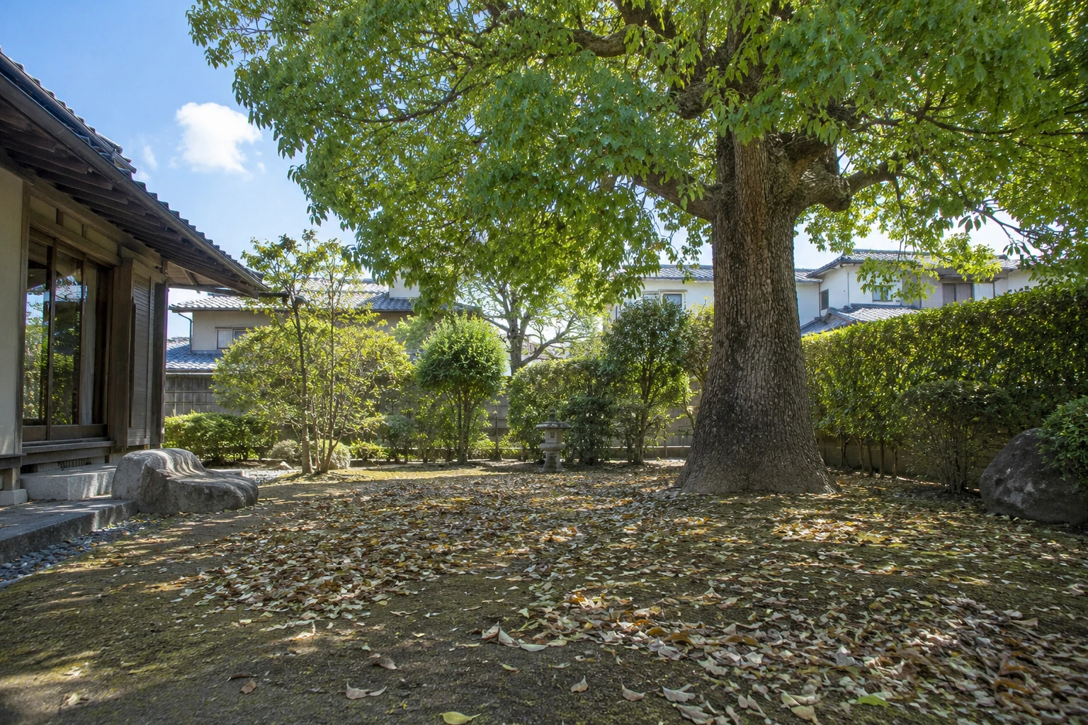 クスノキの落ち葉が多いときは伐採すべきに関連する庭の風景