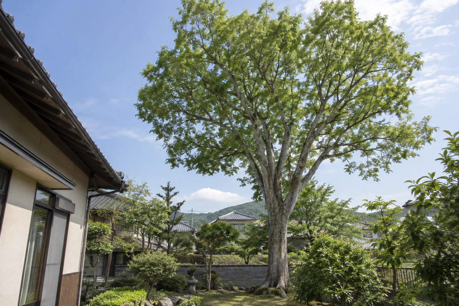 下関市でケヤキを伐採する費用はに関連する庭の風景