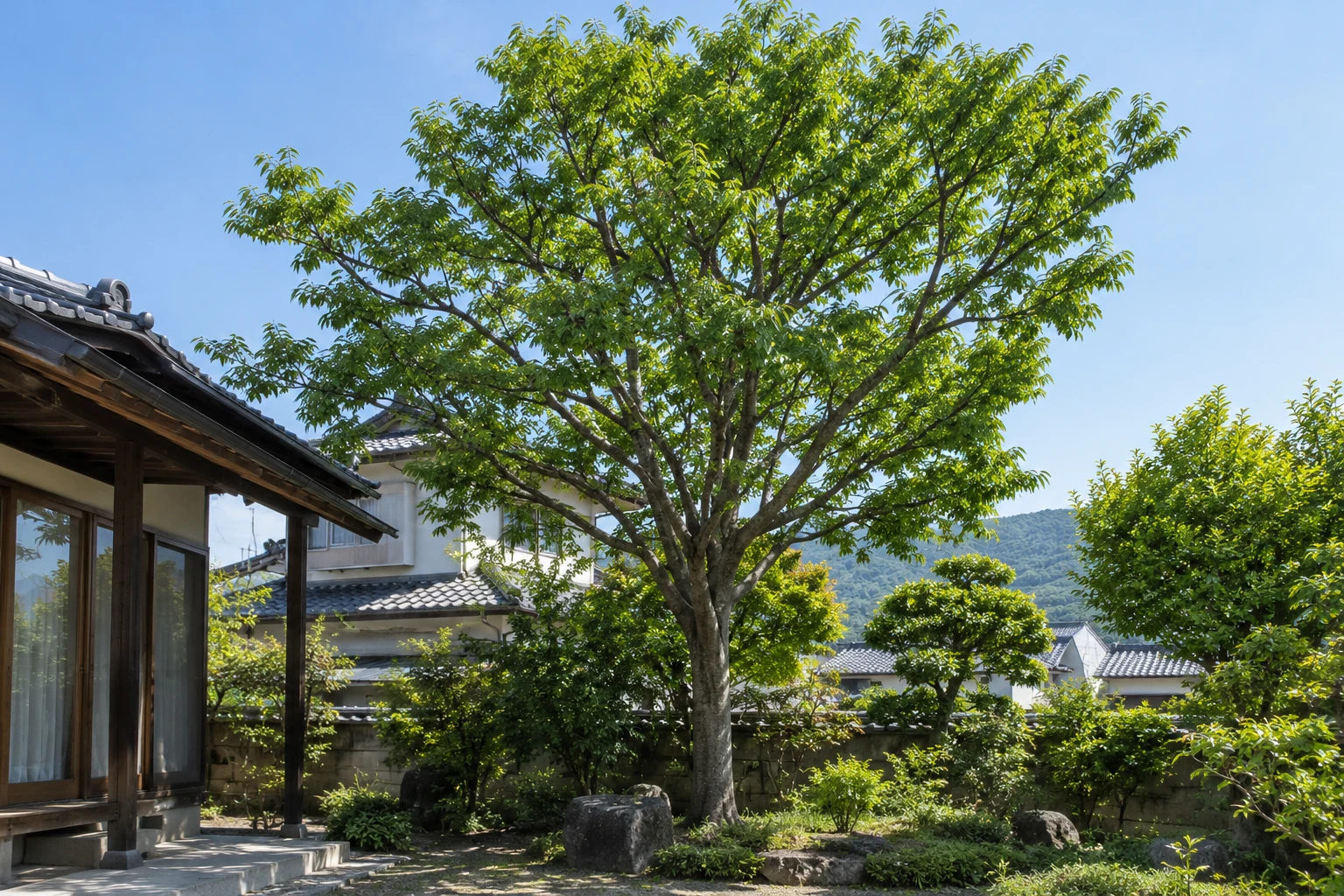 岡山でケヤキの剪定費用を考える方へに関連する庭の風景