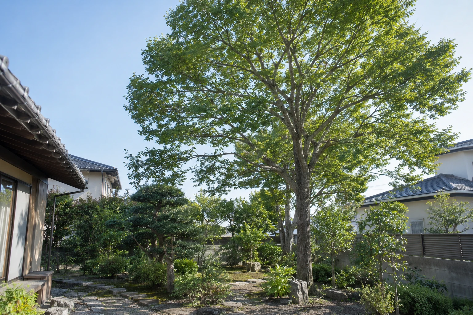 下関市でケヤキが大きくなりすぎたらに関連する庭の風景