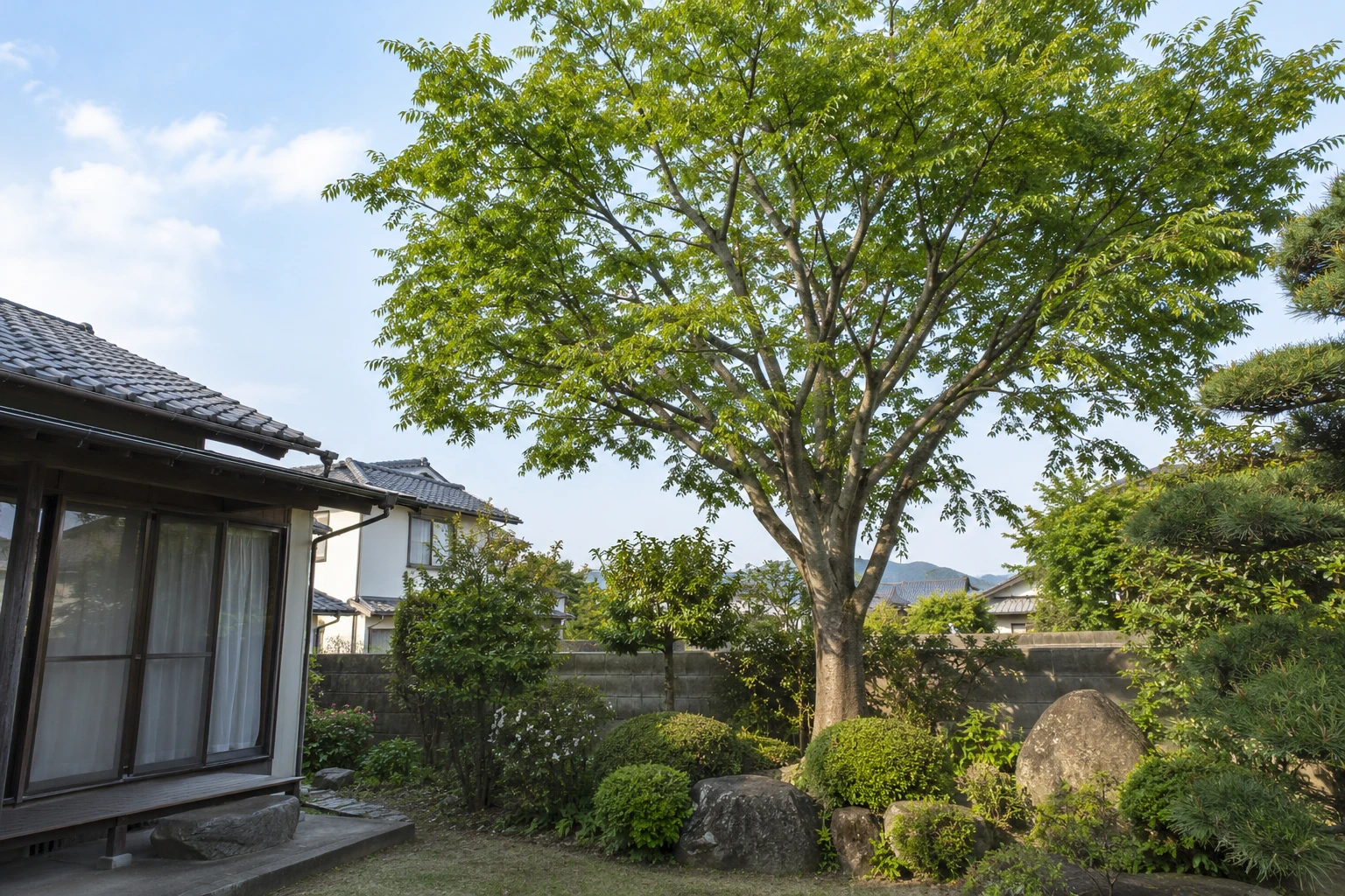 米子市でケヤキの手入れが大変になったらに関連する庭の風景