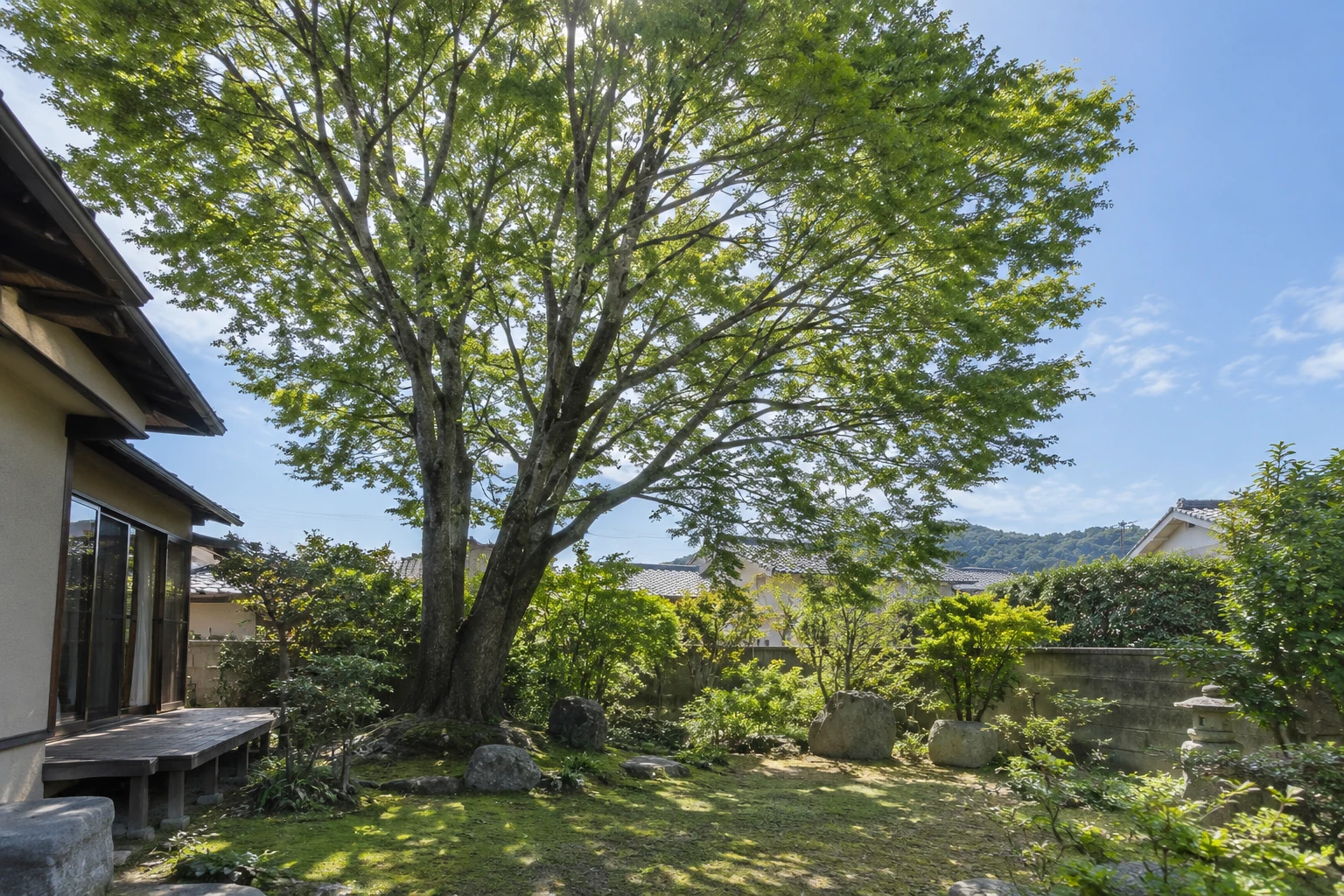 出雲市でケヤキの日陰に困ったらに関連する庭の風景