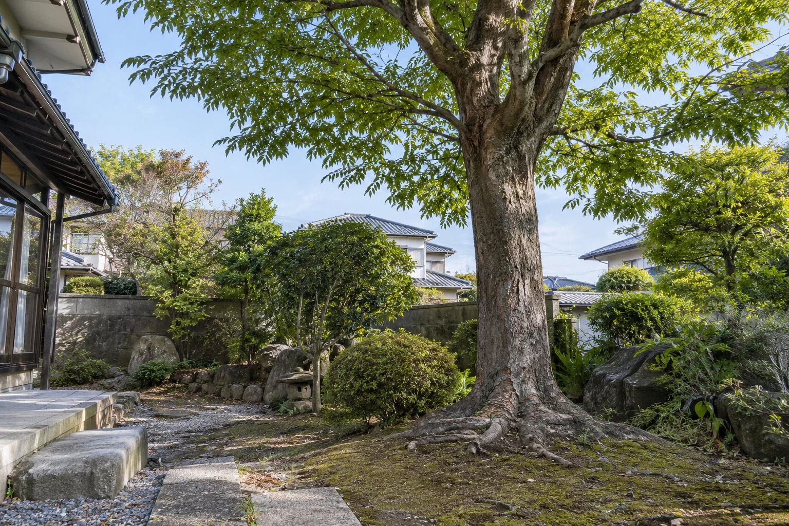 下関市でケヤキの根が気になったらに関連する庭の風景