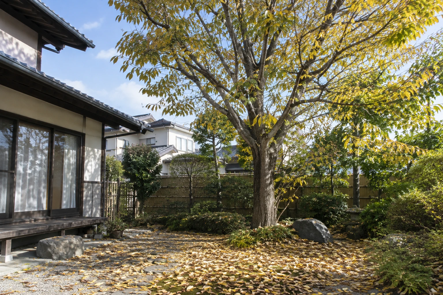 ケヤキの落ち葉が多くて困る時は伐採すべきに関連する庭の風景