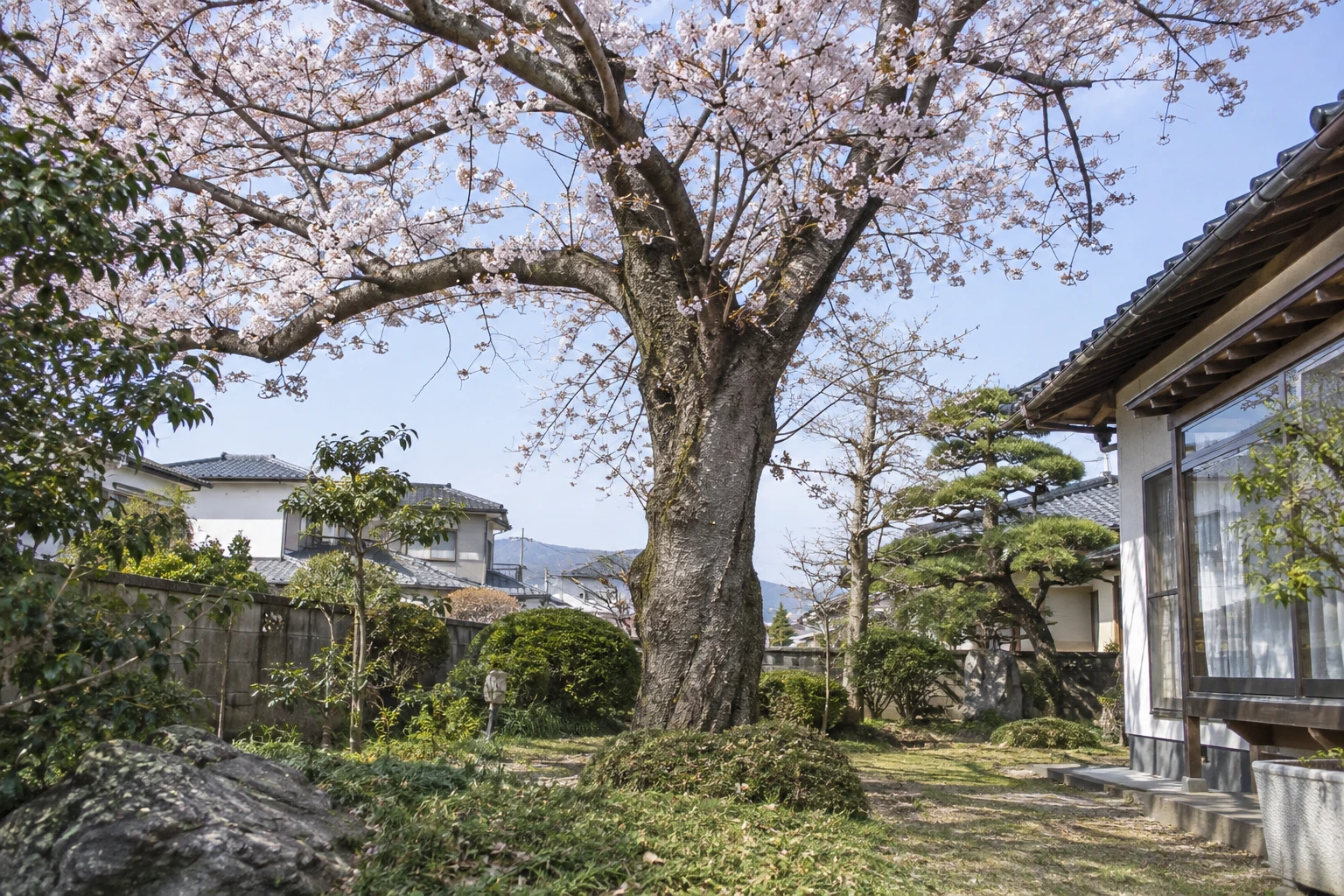 岡山でサクラの伐採業者を選ぶにはに関連する庭の風景