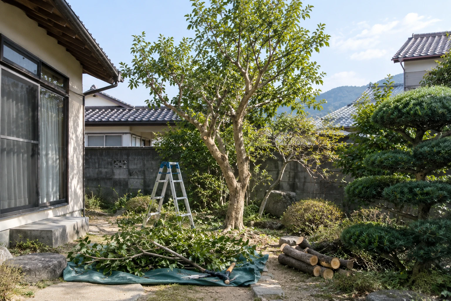 呉市で庭木を伐採するならDIYか業者依頼か。費用と作業範囲の比べ方に関連する庭の風景