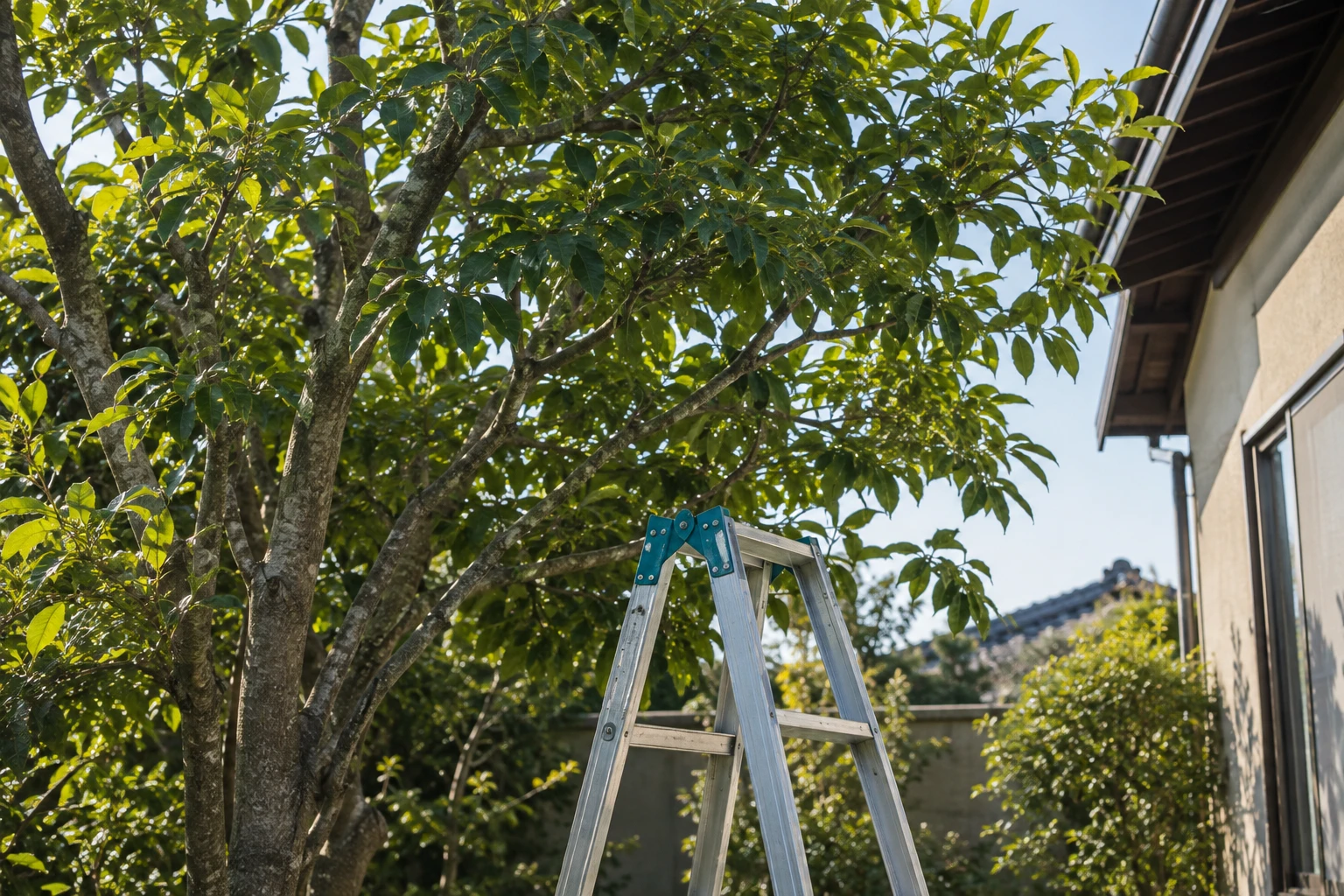 脚立が必要な枝や周囲に落とせない枝は無理に切らないに関連する庭の細部