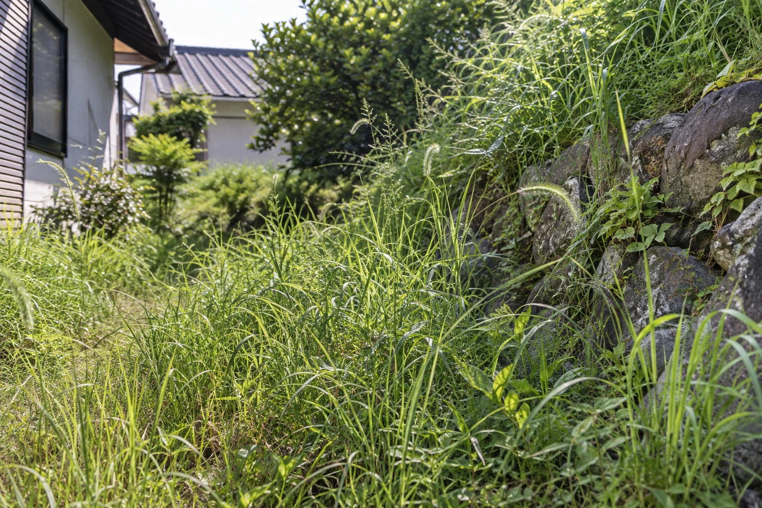 面積・草丈・地形・刈草の扱いを揃えて見積もるに関連する庭の細部