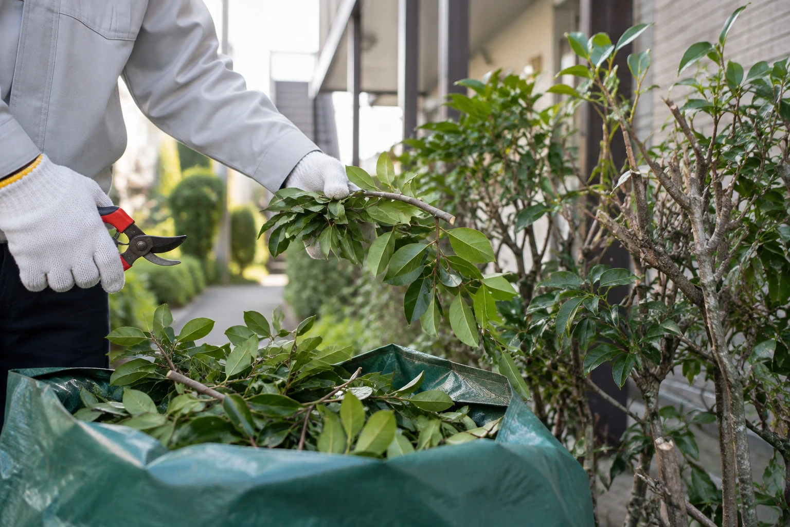 今回だけの剪定か、植栽全体の継続管理かを分けるに関連する庭の細部