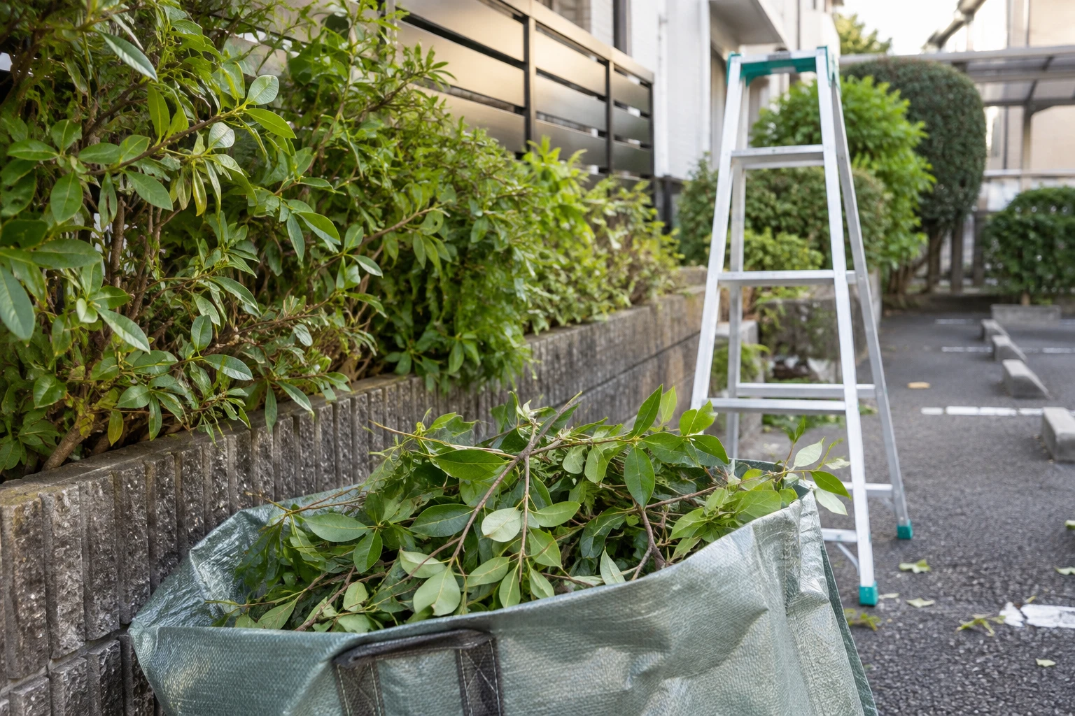 単発で整える作業と、毎年続ける手入れを分けるに関連する庭の細部