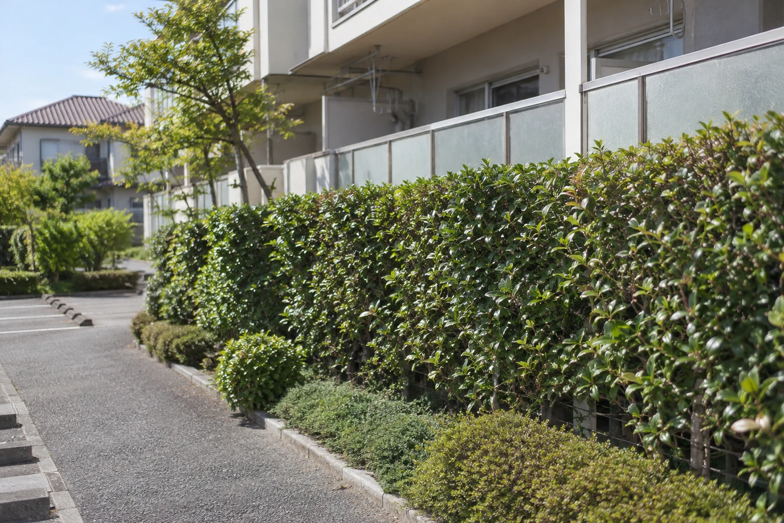 倉敷市のアパートの生垣管理に関連する庭の風景