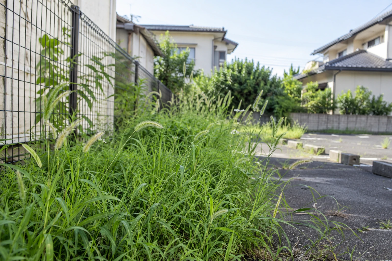 一度整えるか、年間の作業時期を決めるかで選ぶに関連する庭の細部