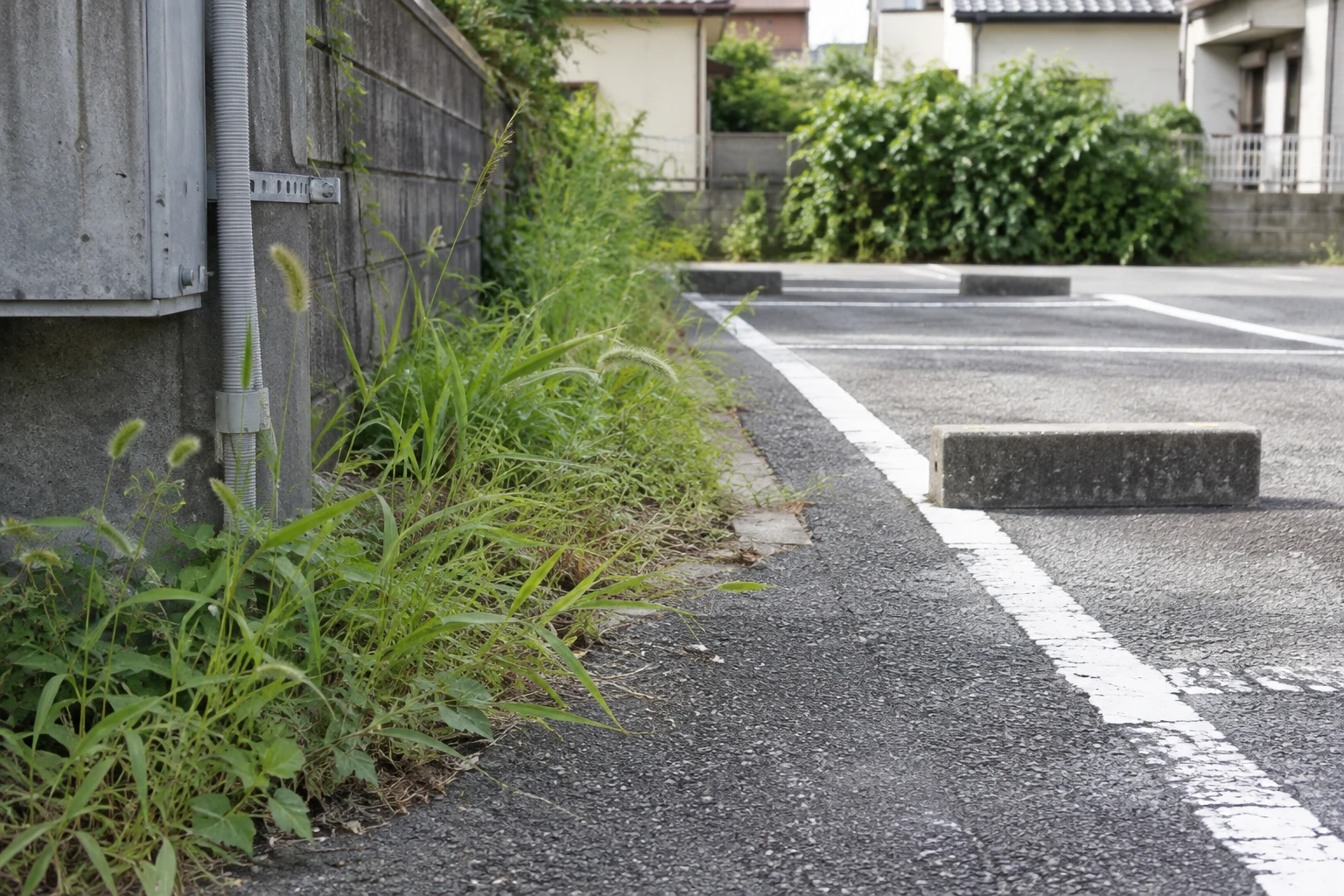 駐車区画や設備際で、草刈りの対象範囲を区切るに関連する庭の細部