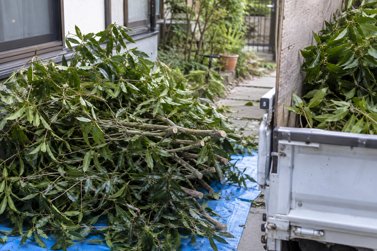 搬出経路や処分量も見積もりの総額に関わるに関連する庭の細部