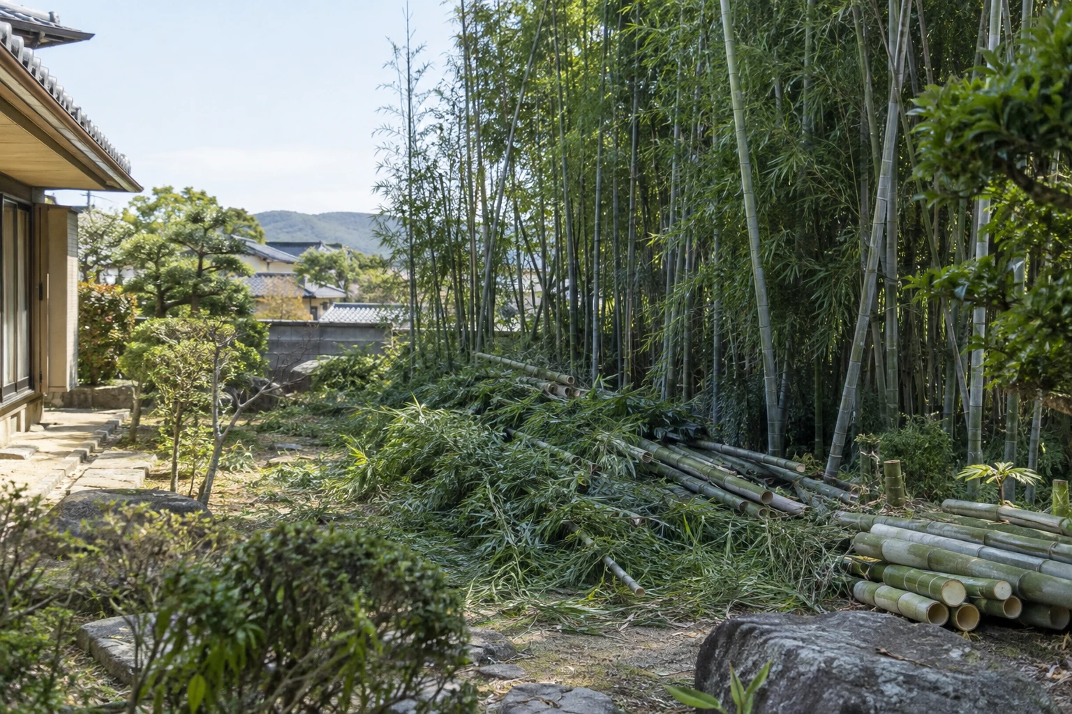 岡山で竹林の伐採を業者に頼むにはに関連する庭の風景