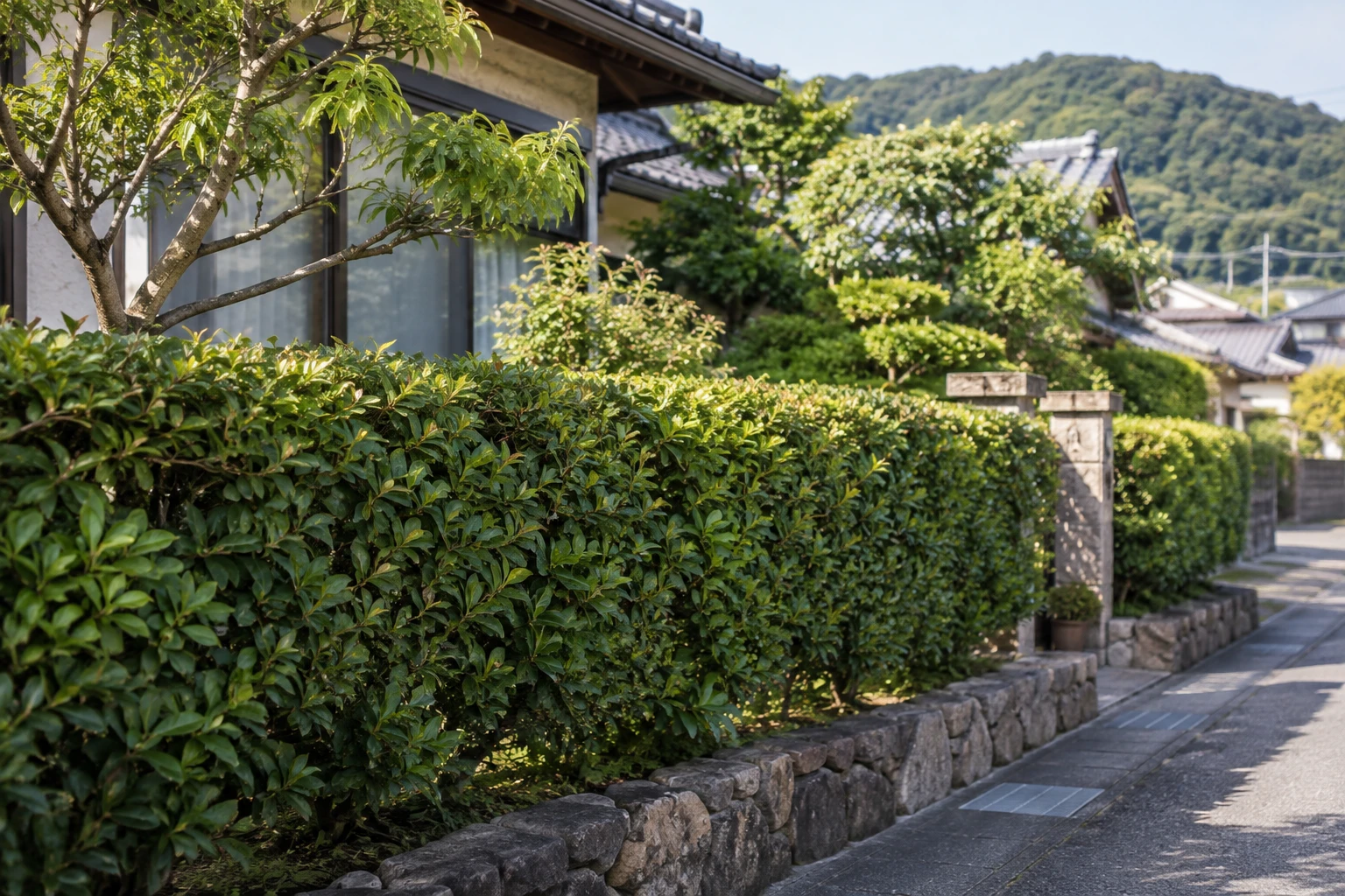 島根県の生垣助成を探す方へに関連する庭の風景