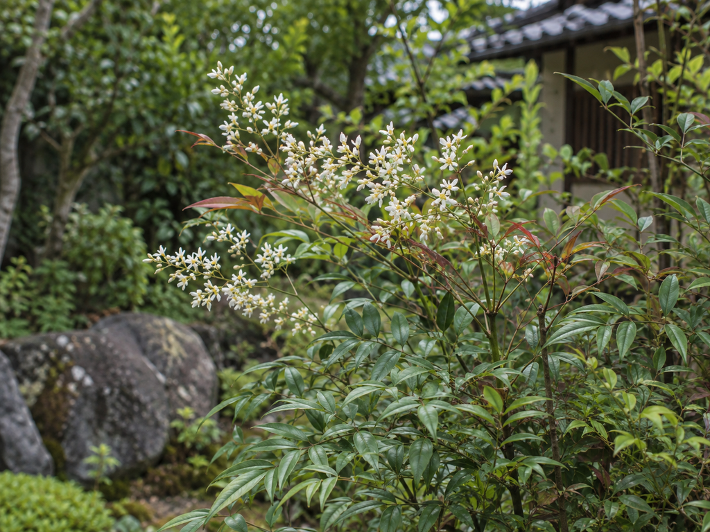 ナンテンの花と枝の生成参考イメージ