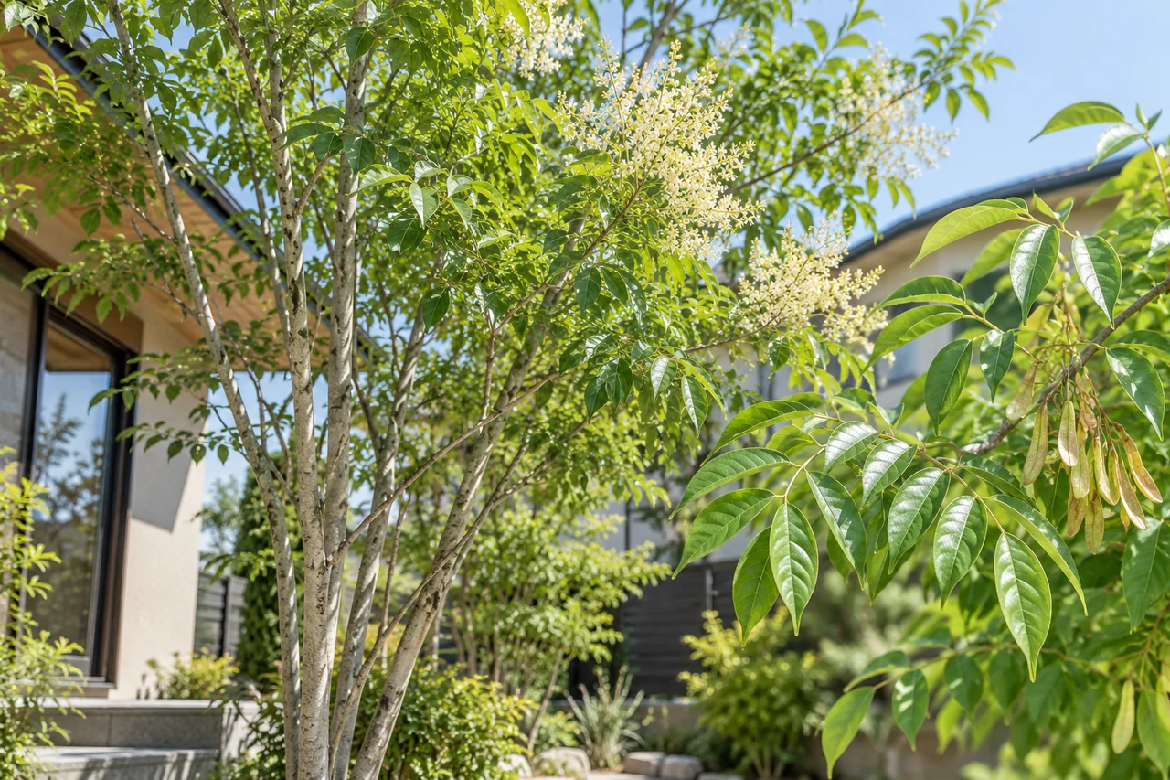 建物のそばに植えられた庭木の根元のイメージ